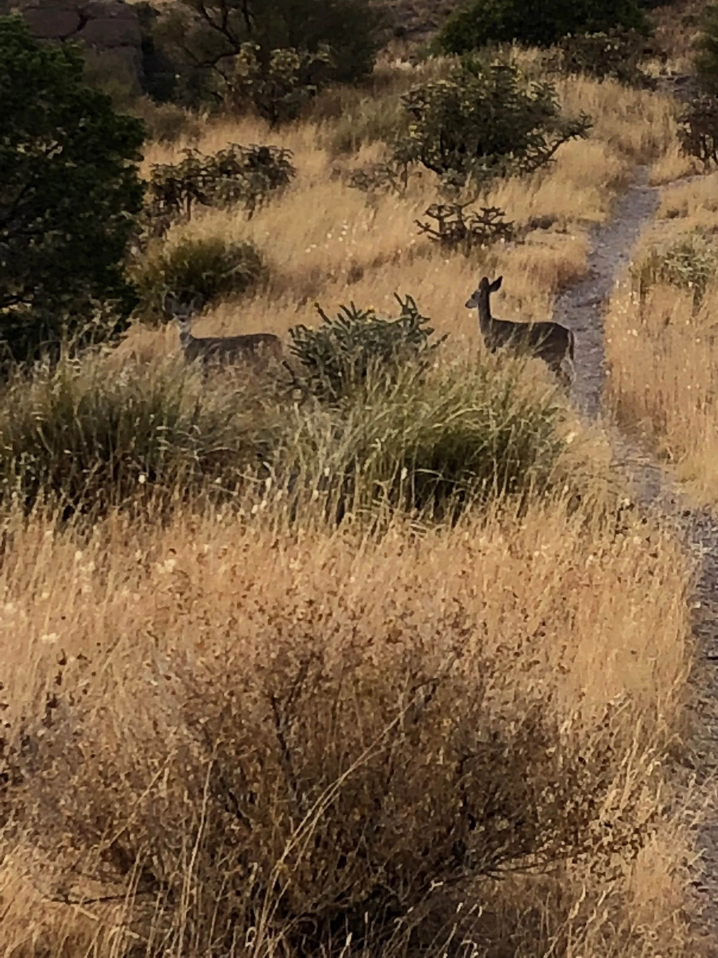 More lessons (big picture)...