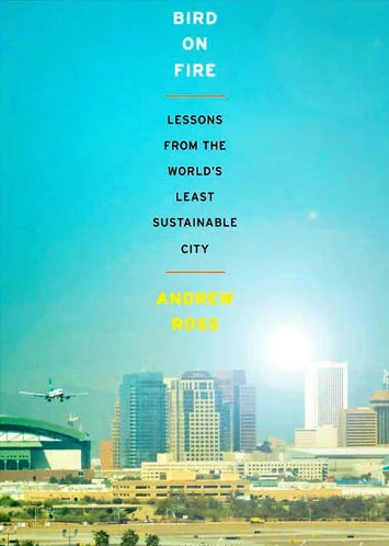 Bird on Fire, or smart bird that's avoided the bonfire of neighboring state?