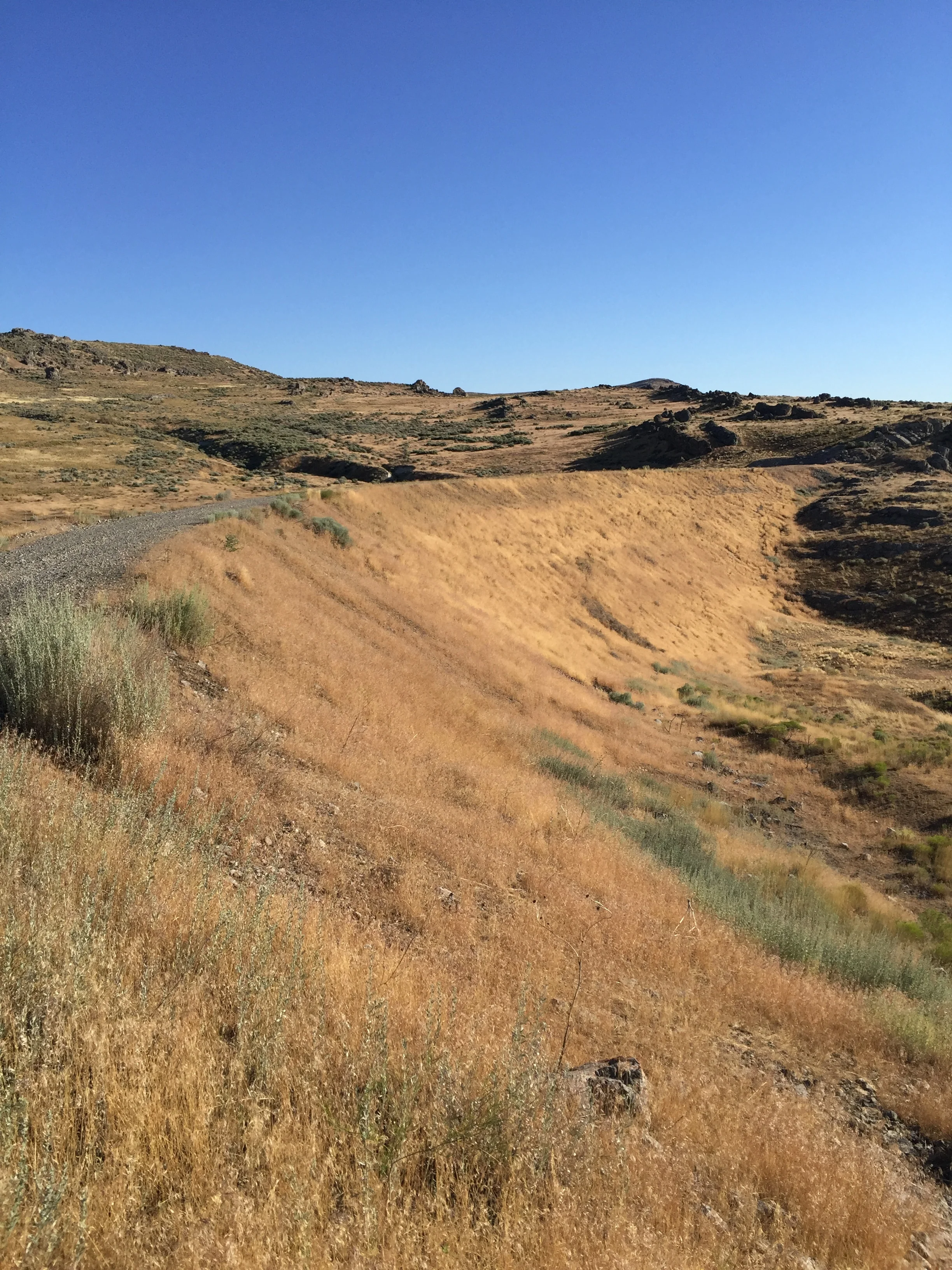 Nothing Like it in the World