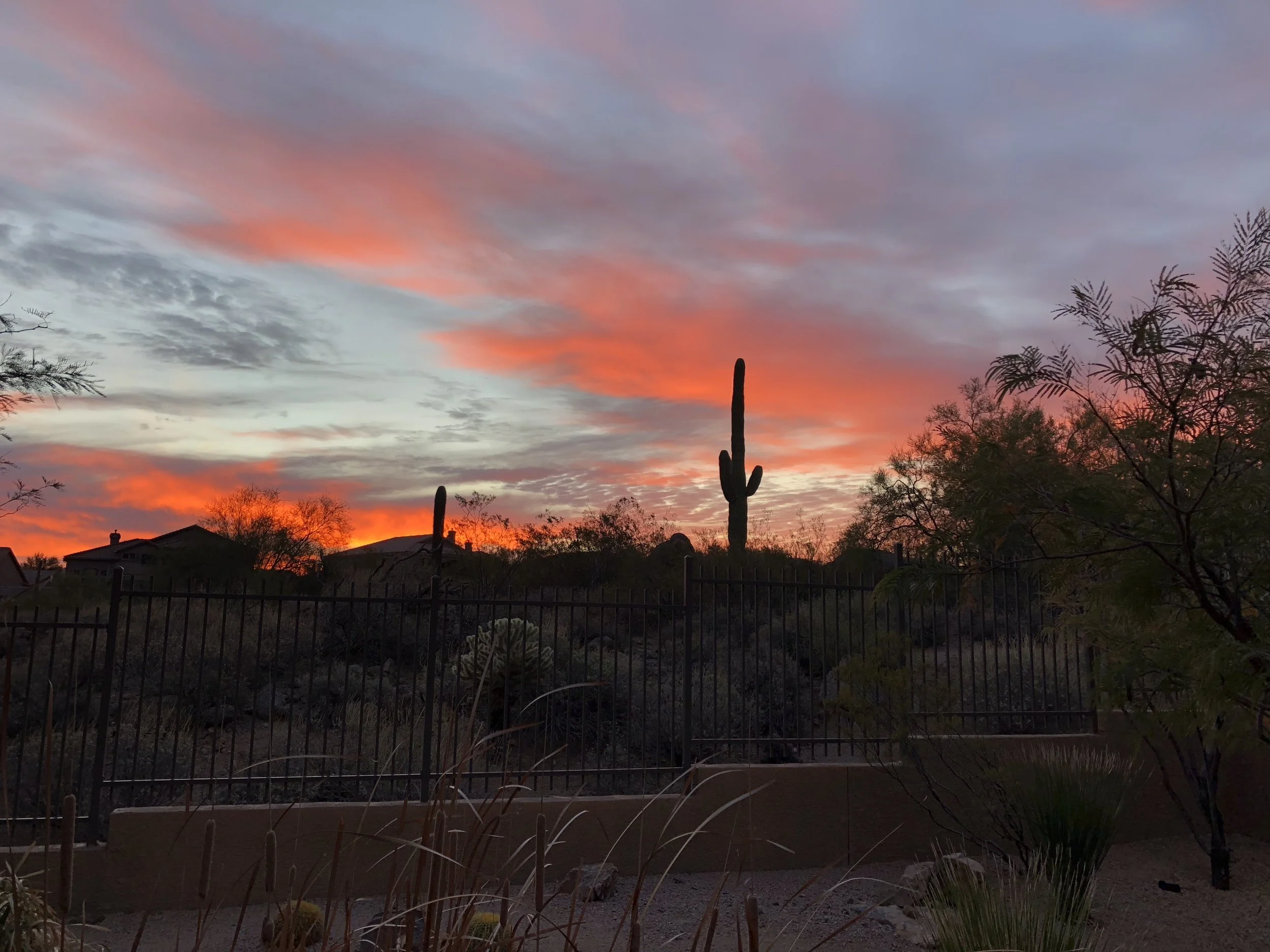 Planning for the next hike