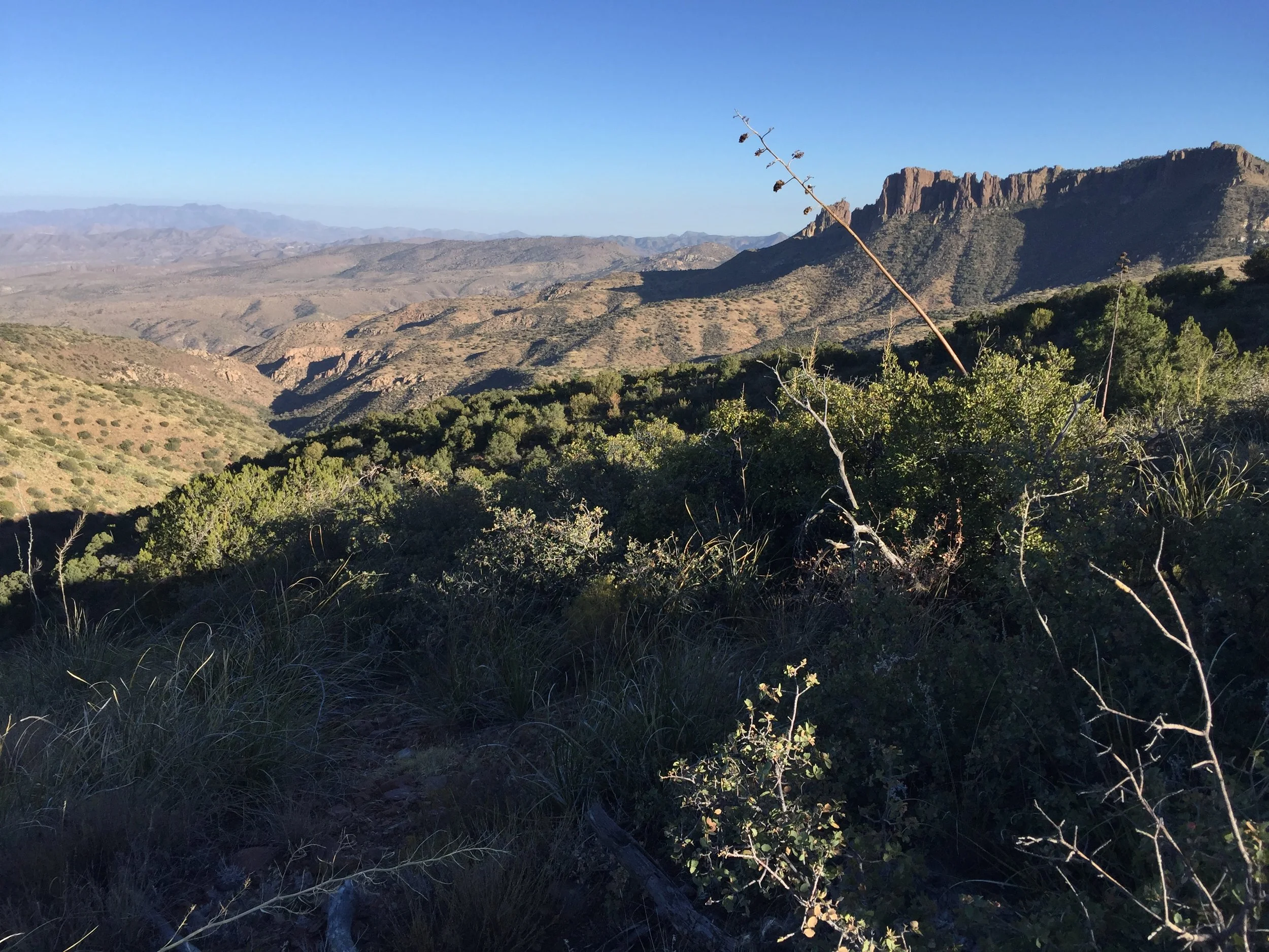 The Lost Dutchman Mine: Known Deposits and Direct Evidence of Mineralization in and around the Superstitions