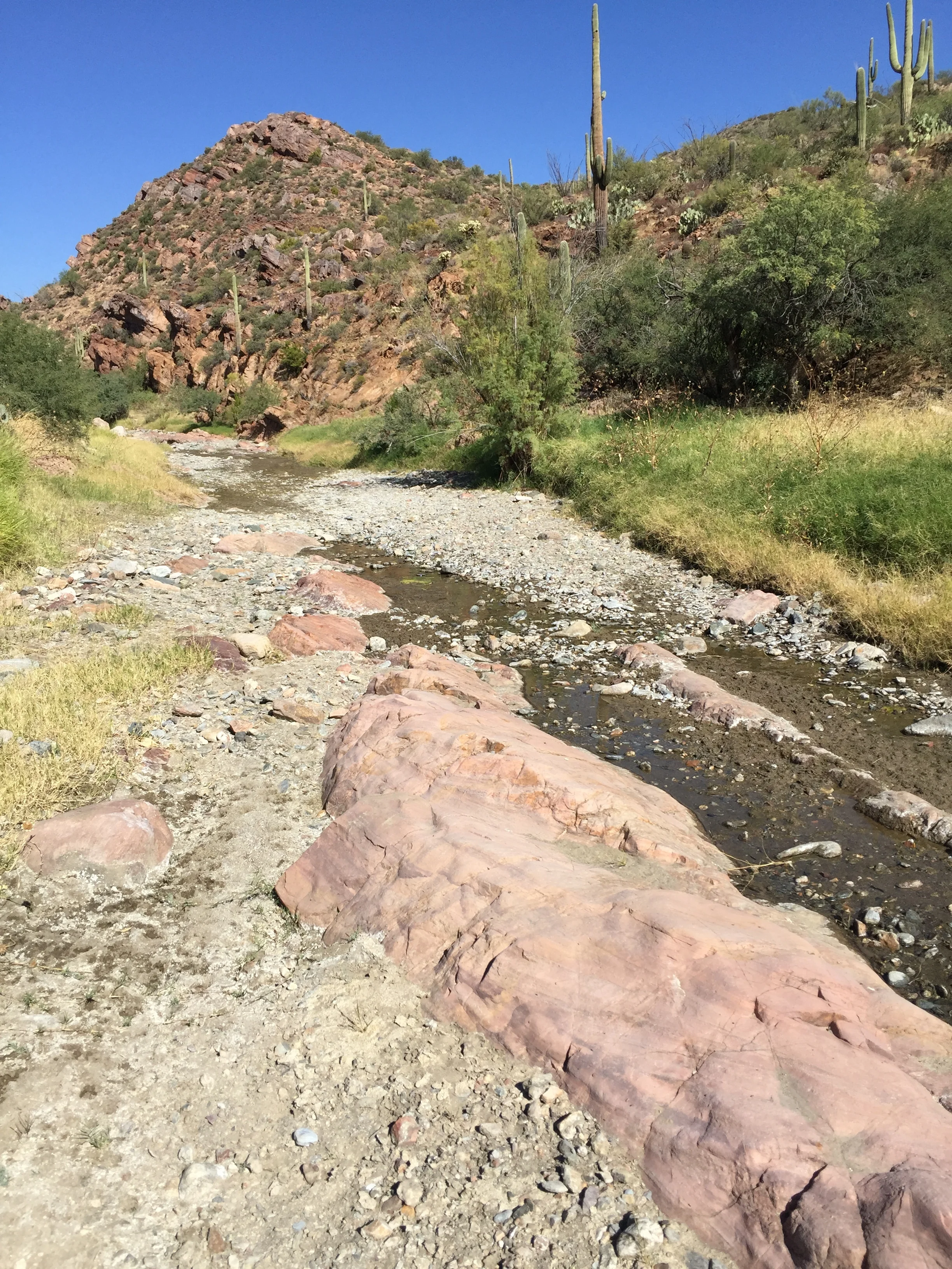 The Lost Dutchman Mine: Other Evidence of Mineralization in the Superstitions