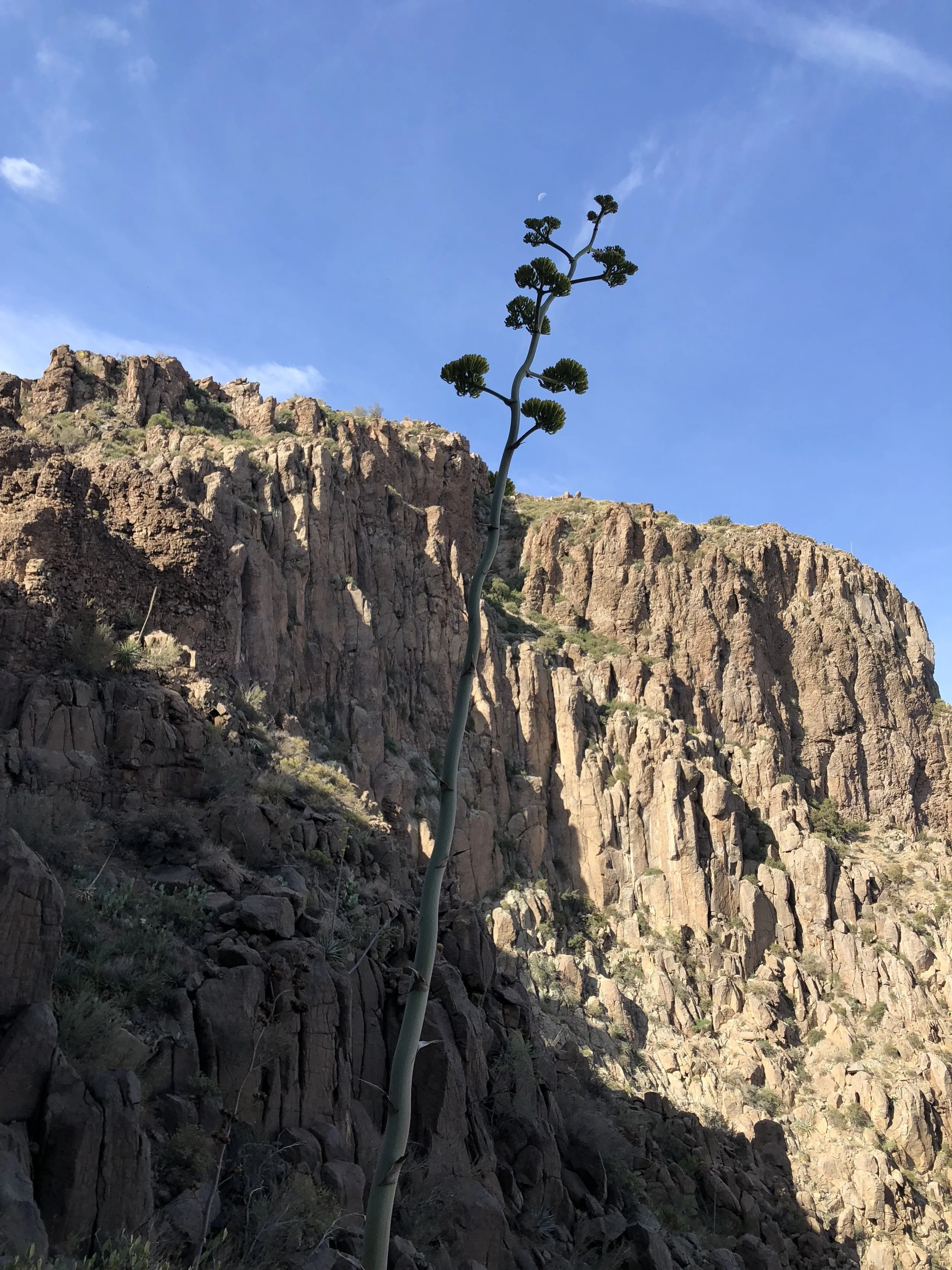 The Lost Dutchman Mine: Putting it all Together