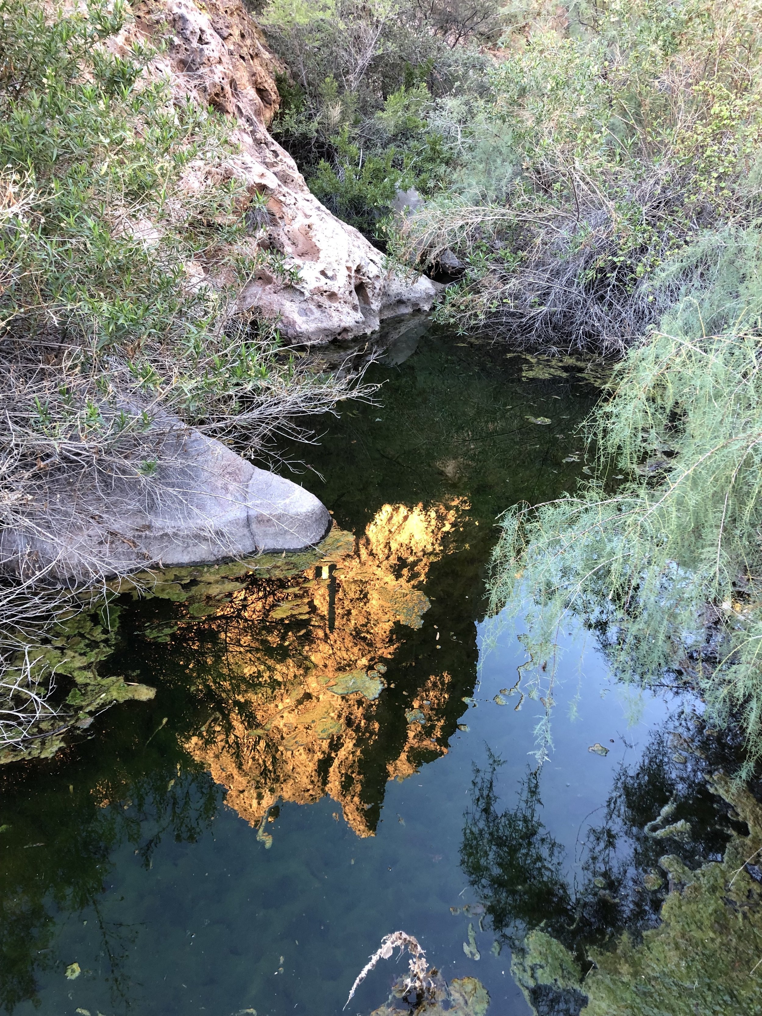 A traverse of the Superstitions and implications for LDM