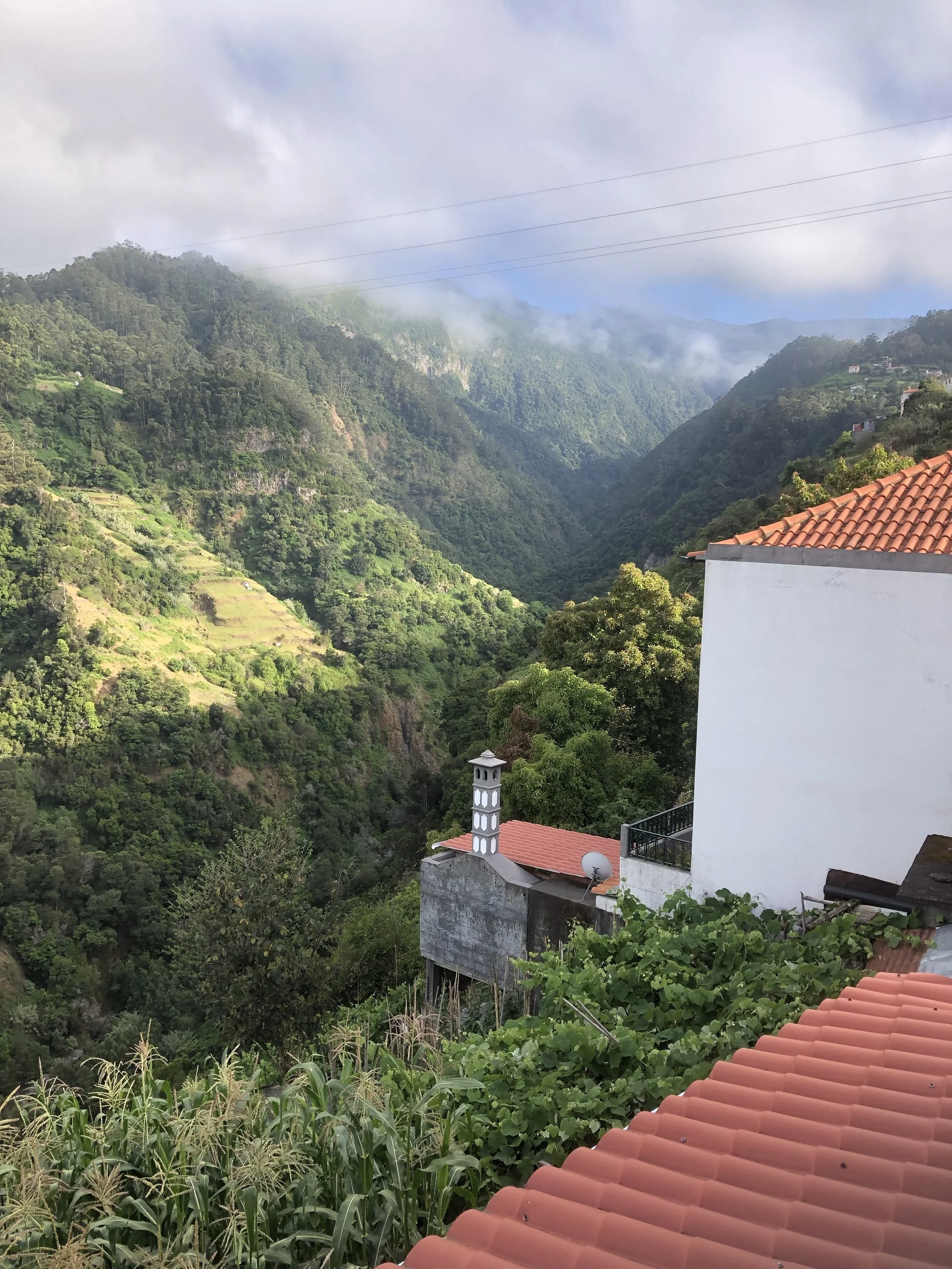 Agriculture, Civilization and their Discontents