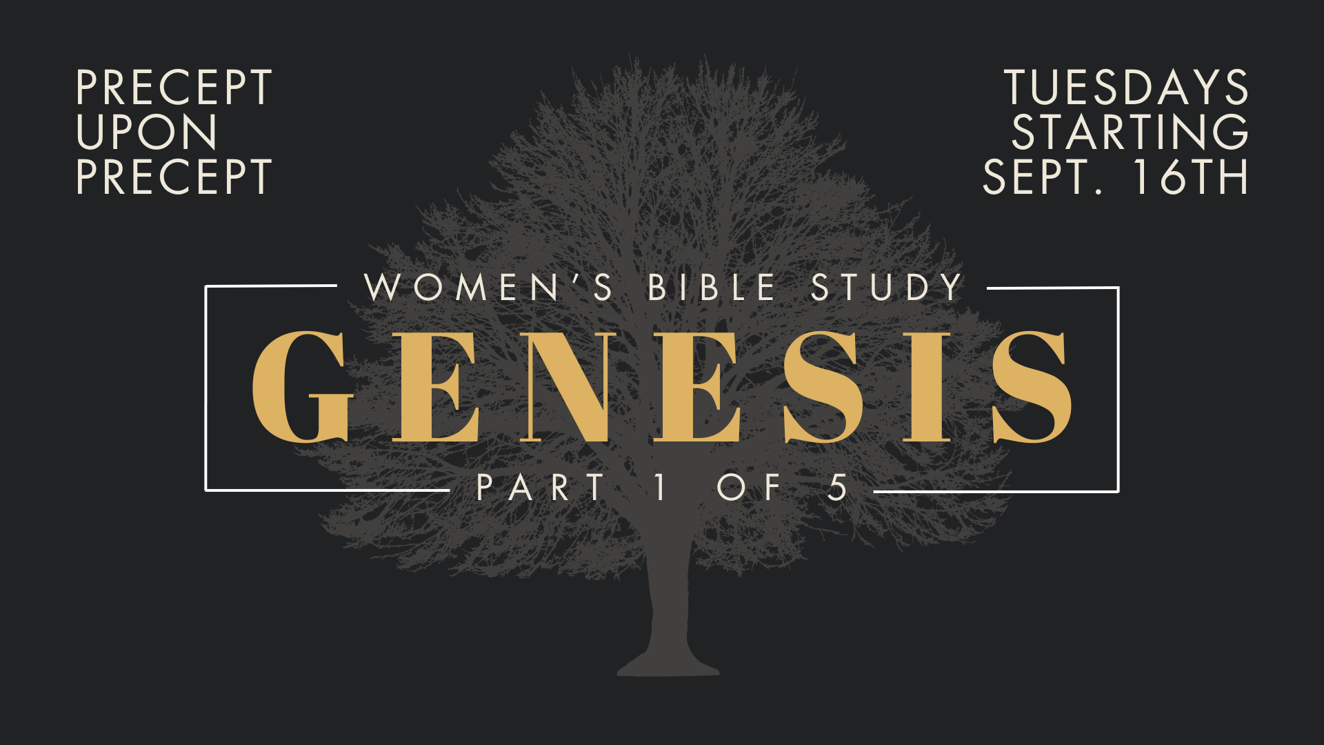 Women's Fall Bible Study: Precept Upon Precept: The Book of Genesis