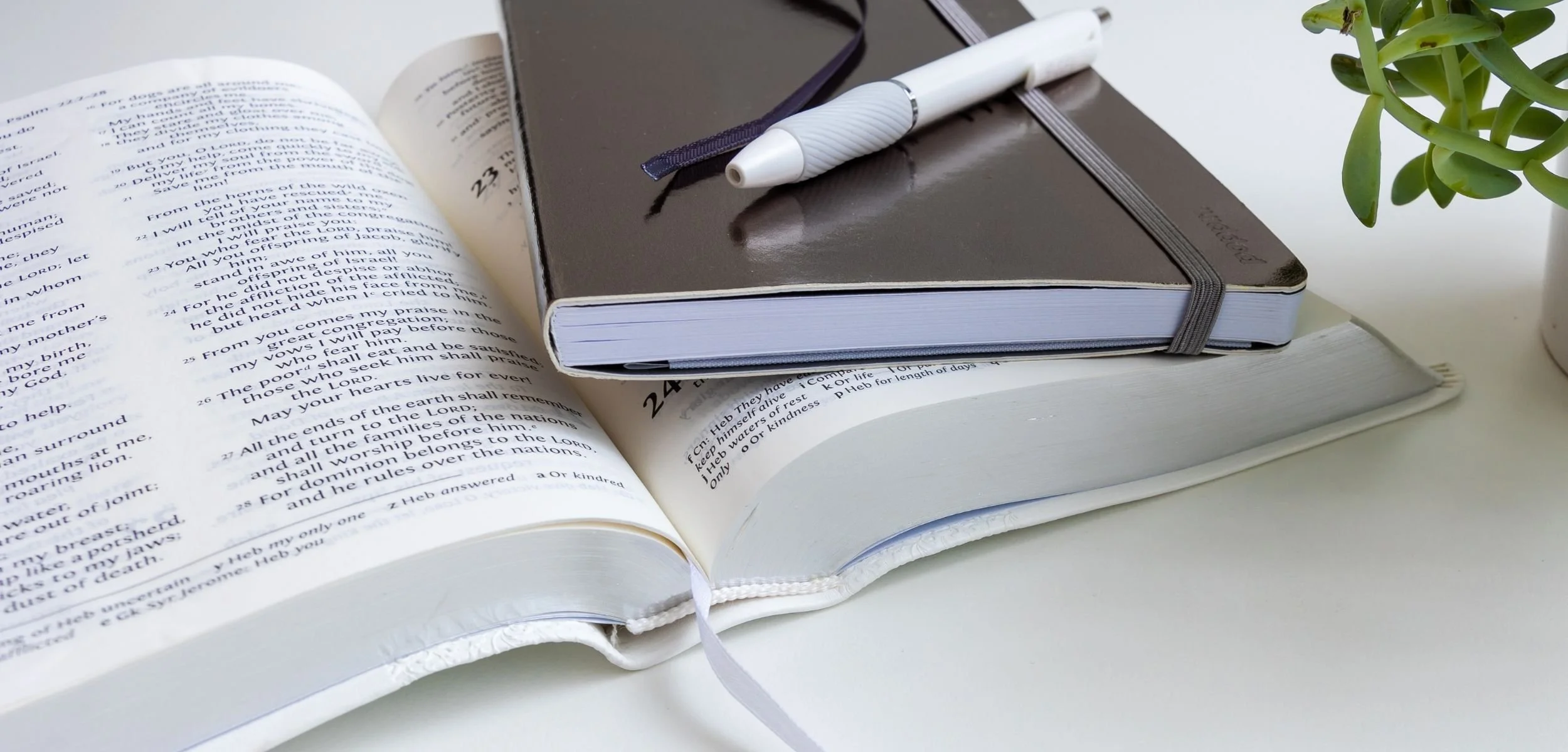 The Word Website Banner (3).jpg