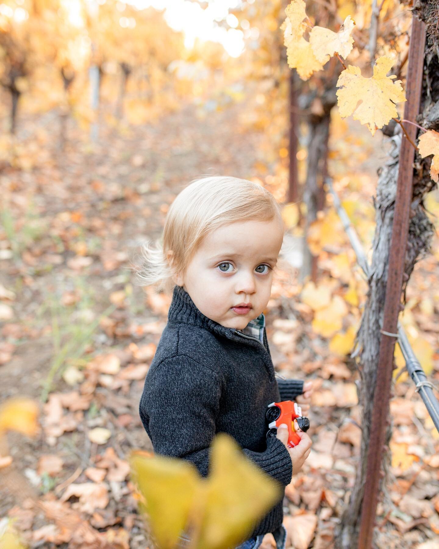 I love taking a few minutes to follow my toddler clients around and capture little expressions like this, some silly and some perfectly precious.