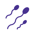 Sperm Banking