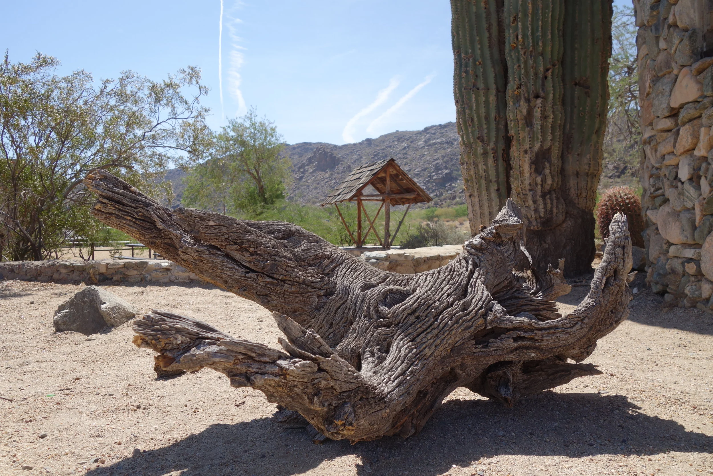 Scorpion Gulch | Phoenix, AZ
