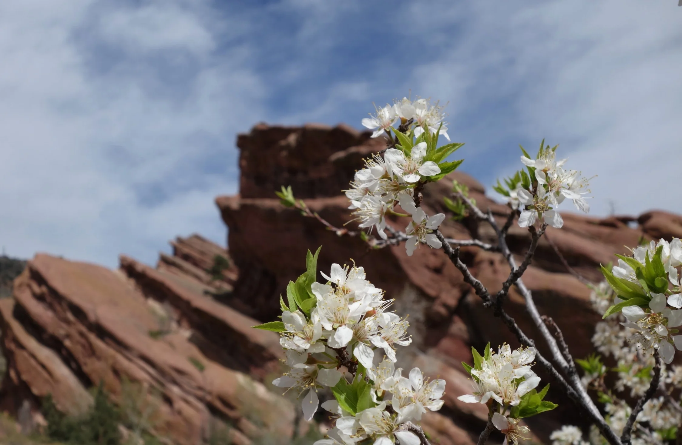 Trading Post Trail | Red Rocks, CO
