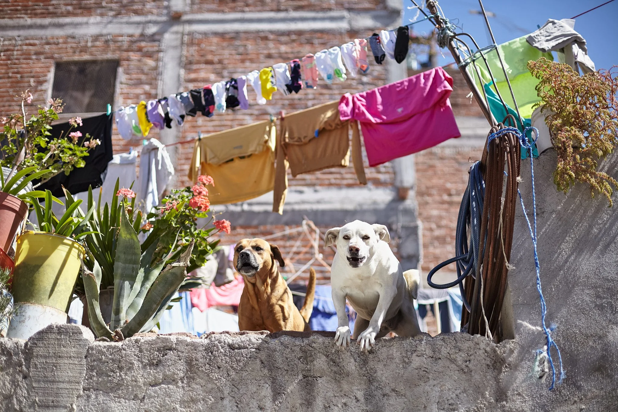 Hugh McBride Photography