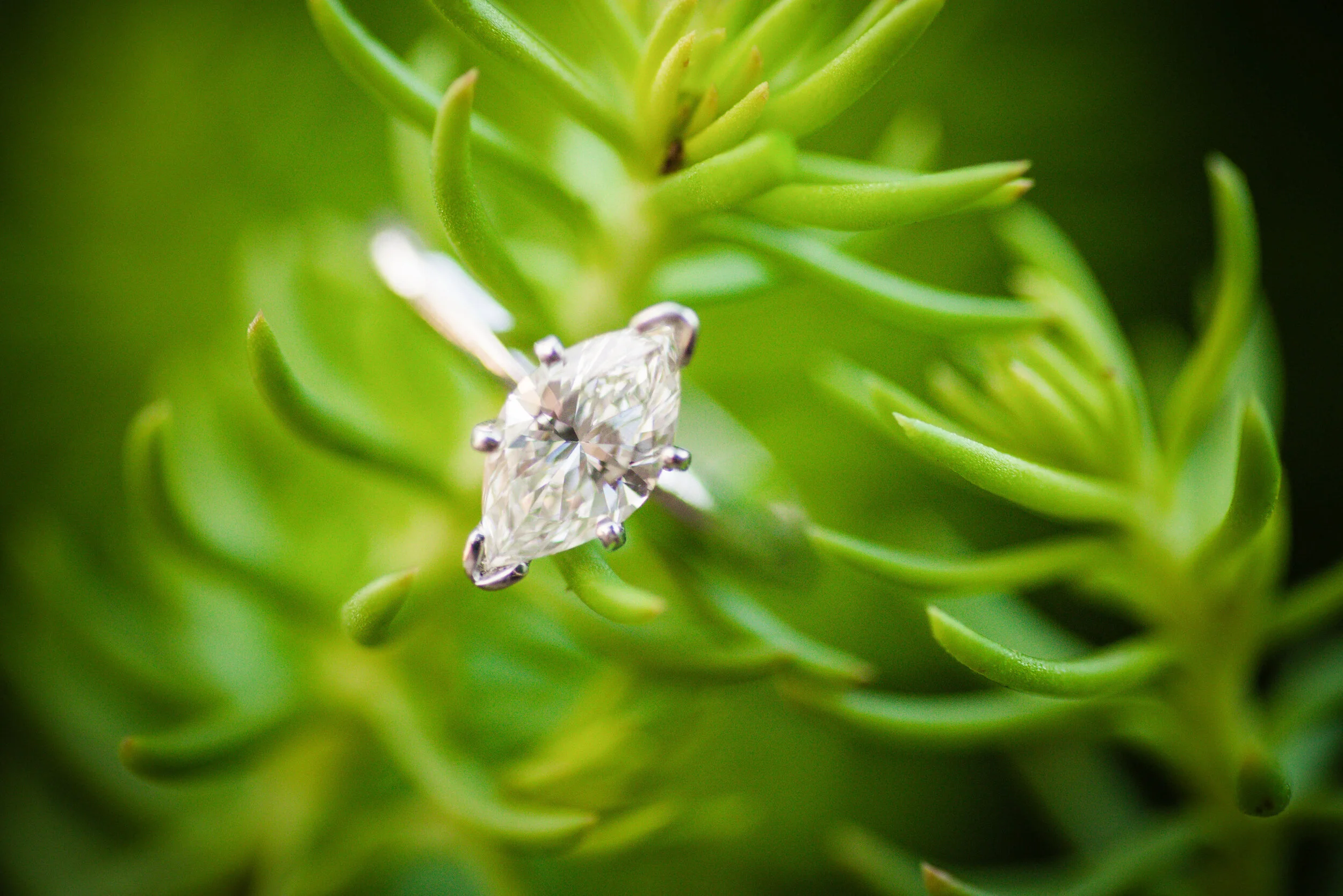 SAMANTHA WEB-Hillary and Jason-0051.jpg