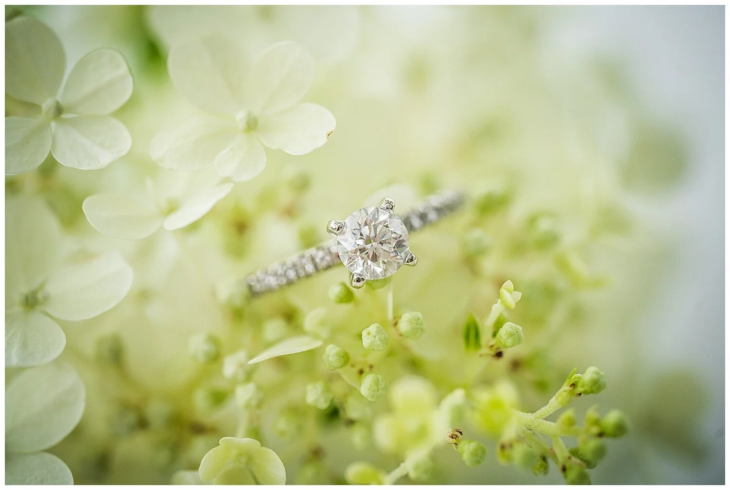 scranton-pa-wedding-photography