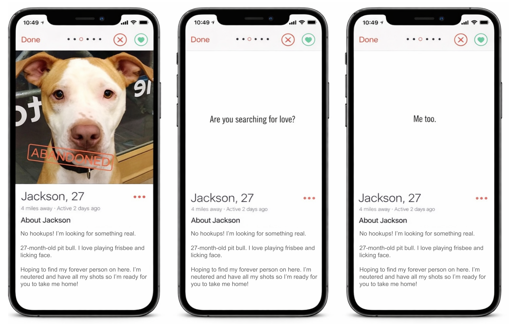 puppy love comps.png