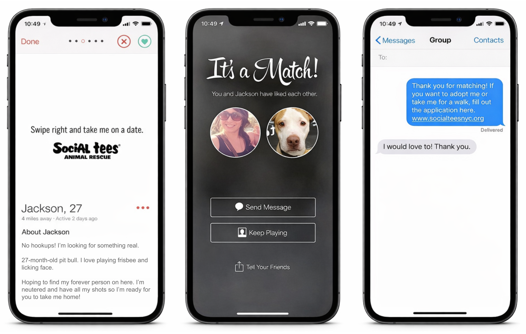 puppy love comps (1).png