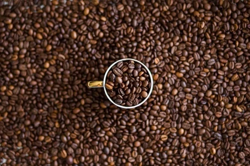 coffee beans and centered cup.jpg