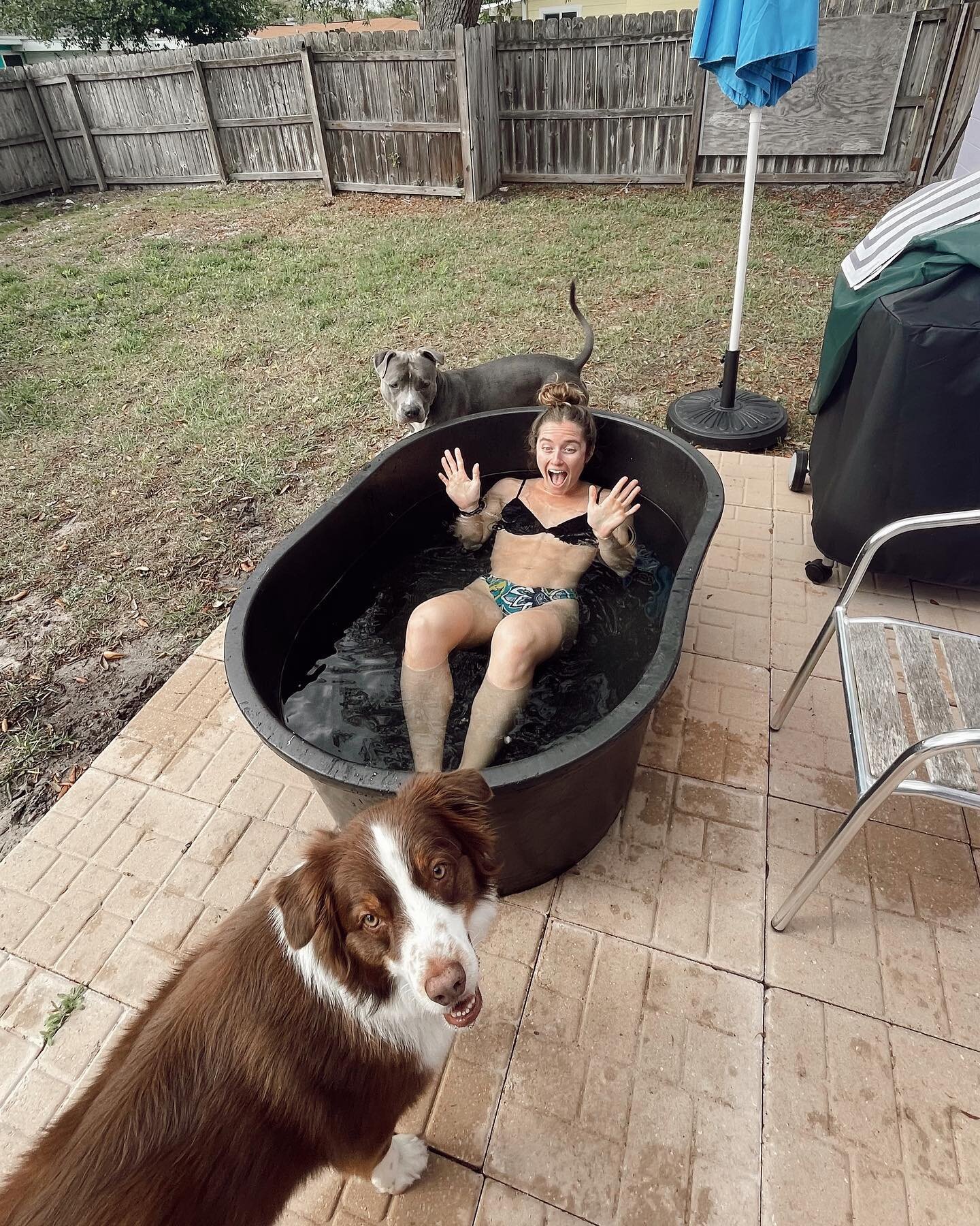 🧊Sunday evening ice bath recovery &gt;&gt;&gt; I swear there was two BIG bags of ice in here, it just melts quick in this FL heat 🫠 And look at these two good boiiiisss 🐶 
&bull;
I have a love/hate relationship with these ice plunges, but after li