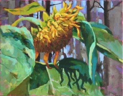 Dad's Sunflower .JPG