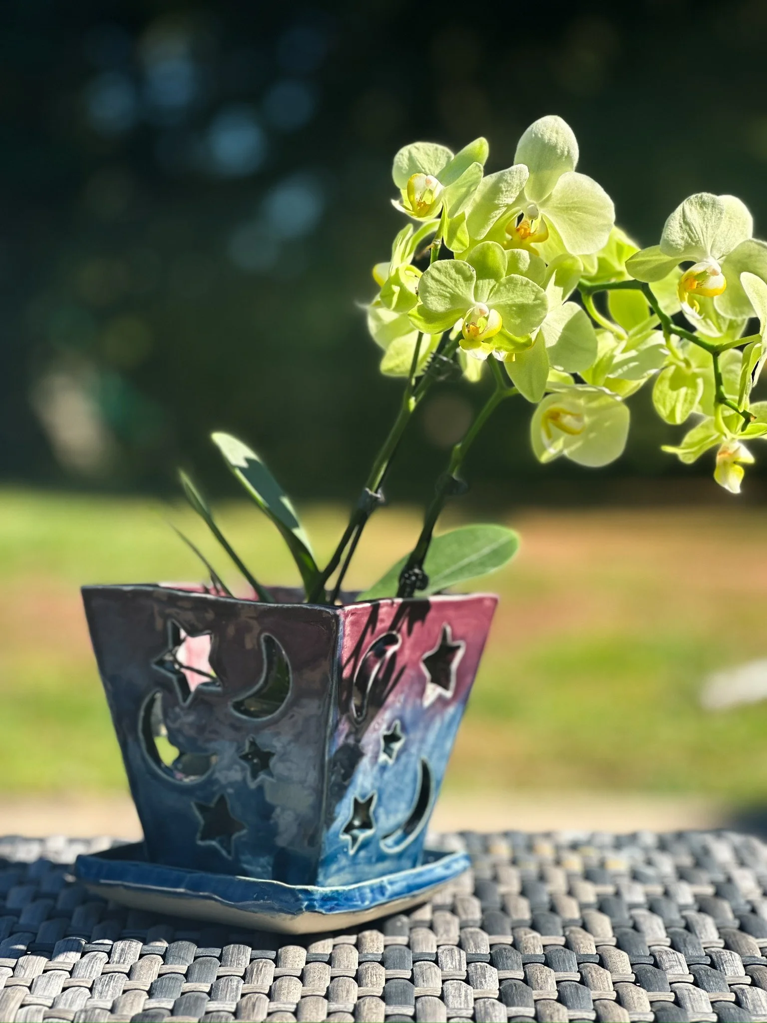 Celestial_Orchid_Pot_Medium01.jpeg