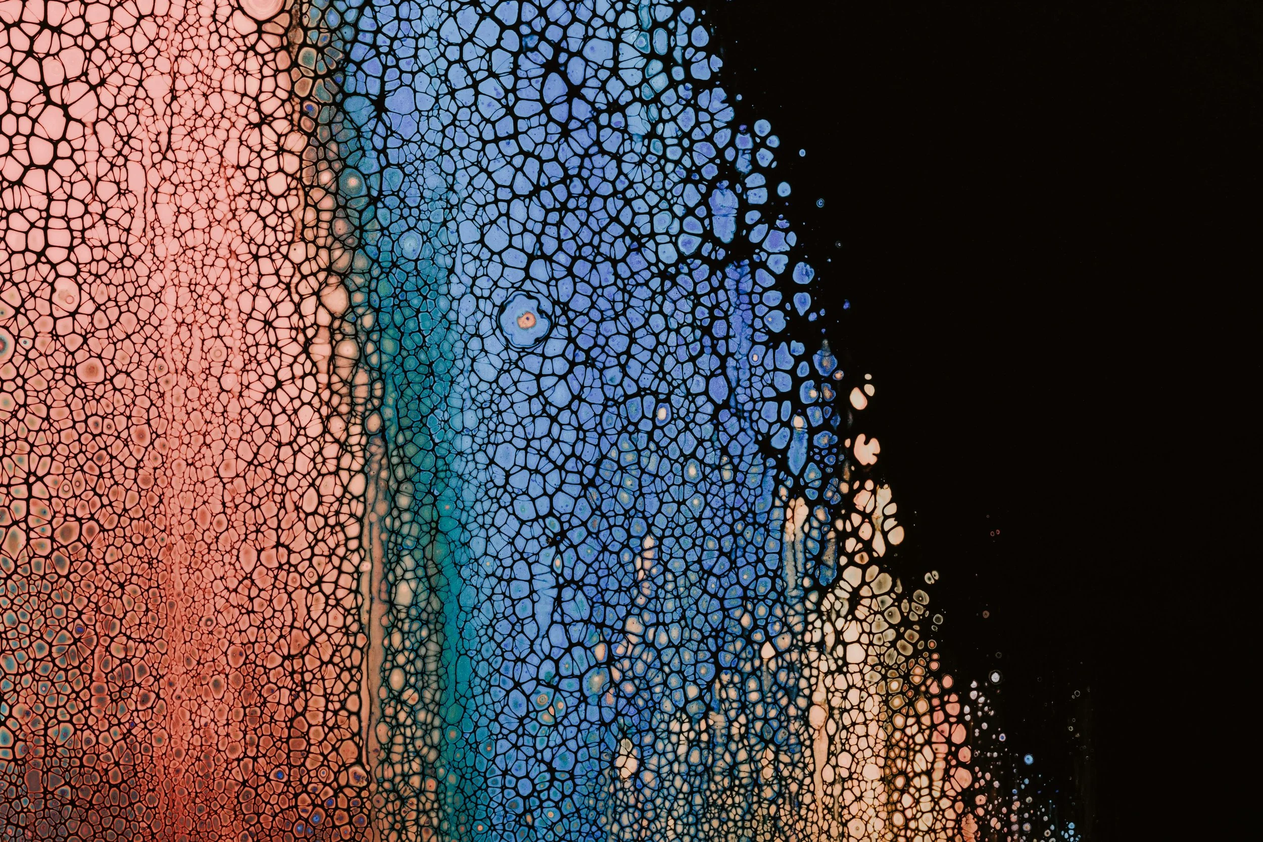 What is Your Productivity Personality?