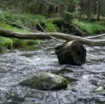 &nbsp; &nbsp; &nbsp; &nbsp; &nbsp; &nbsp; &nbsp; SUBMIT