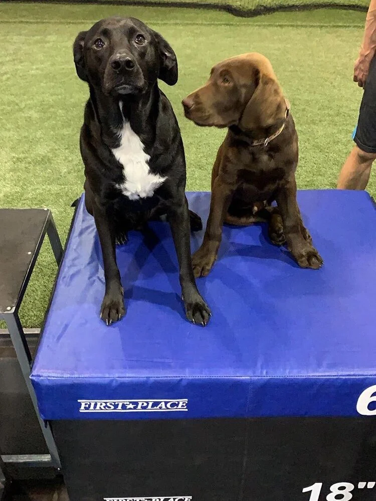 39B81AC9-1A79-4E6B-B7C8-9D7D7E8D7815 2.JPG