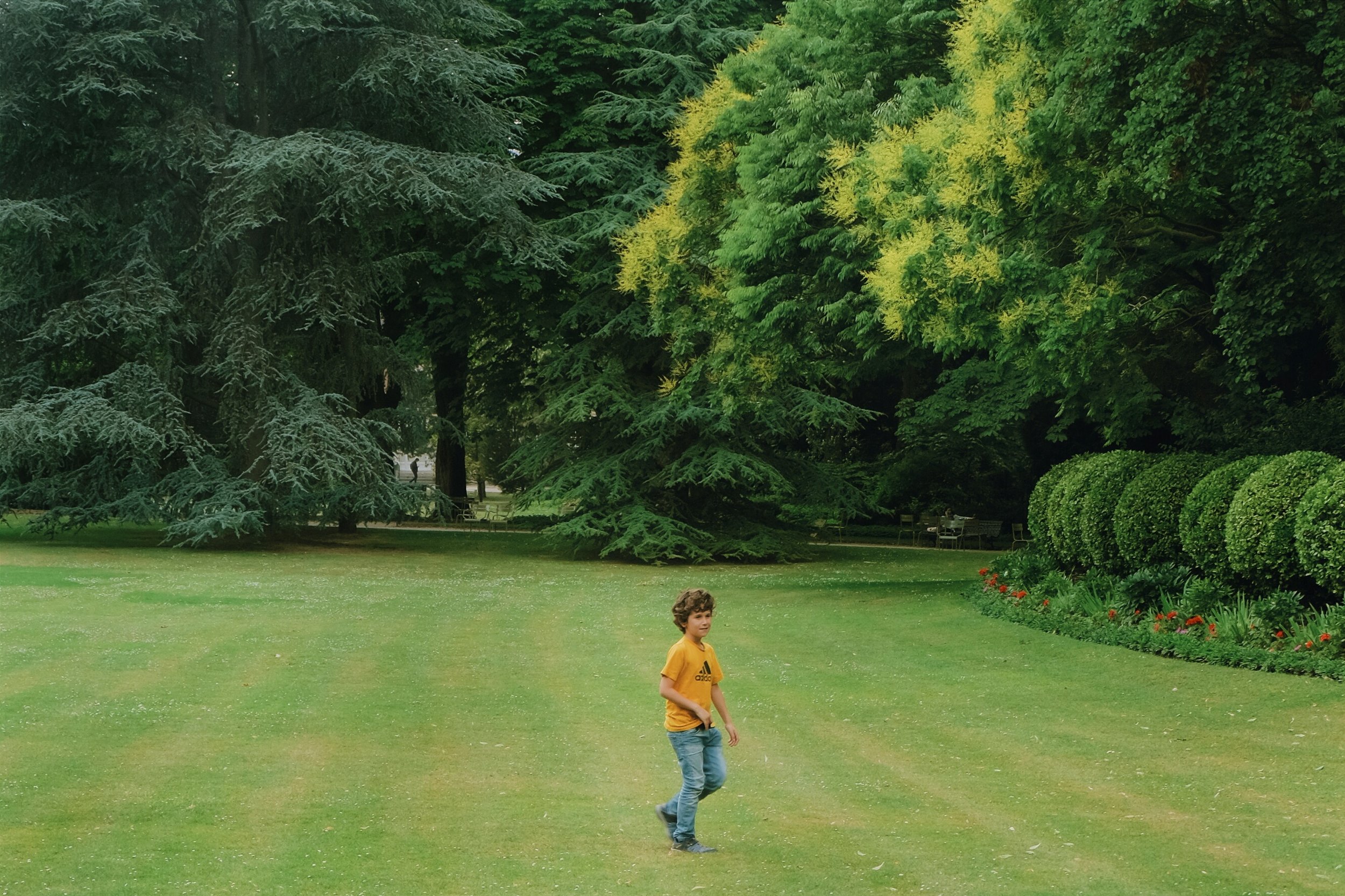 2016-06-15 01.38.17 1-01.jpeg