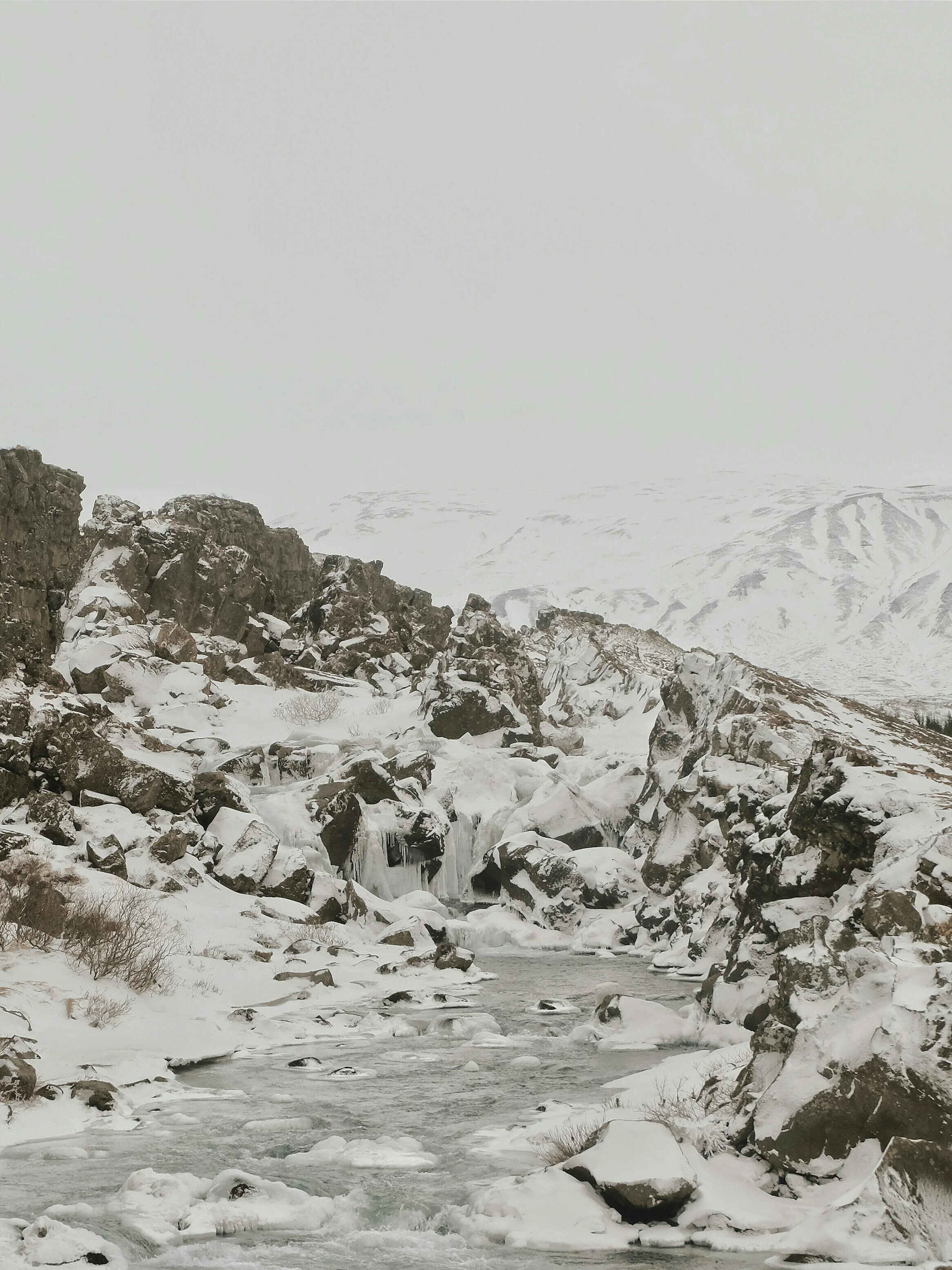 2016-03-03 01.15.34 1~01-01.jpeg