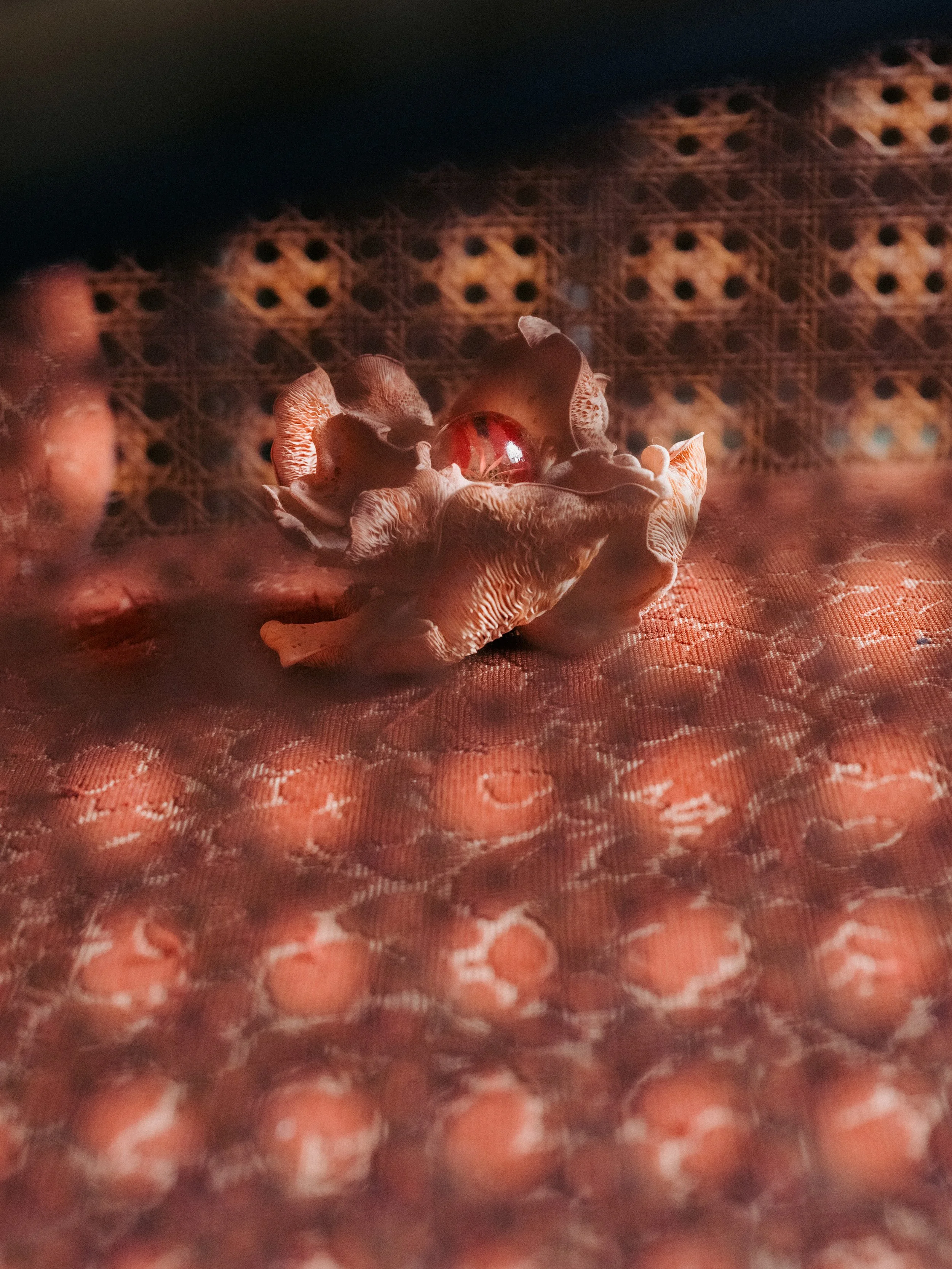 UNTITLED 096.jpg