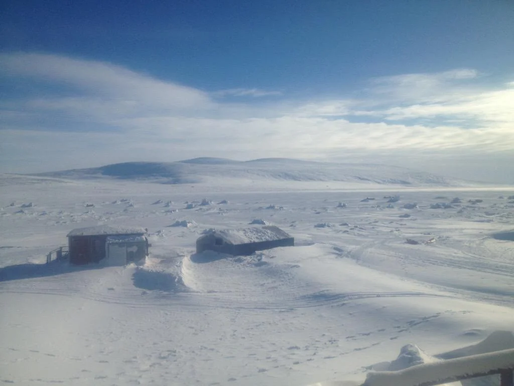 THE BOYS ARE BACK IN TOWN