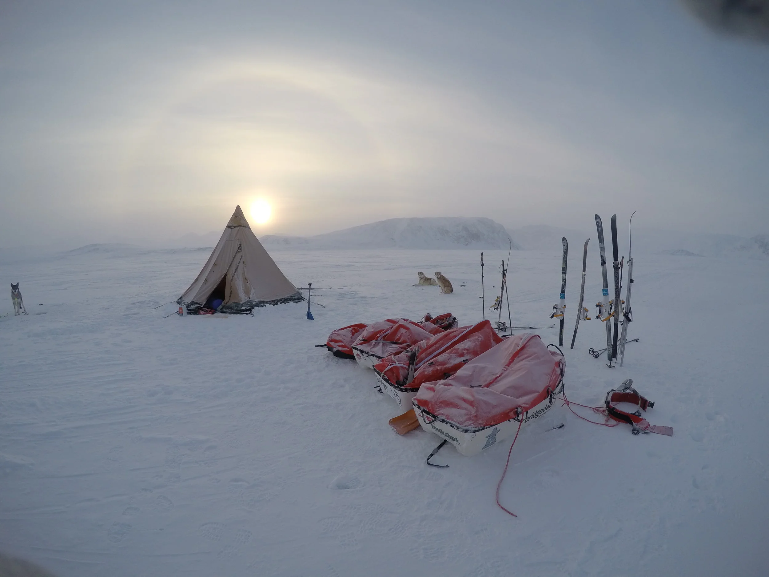 Expect the Unexpected