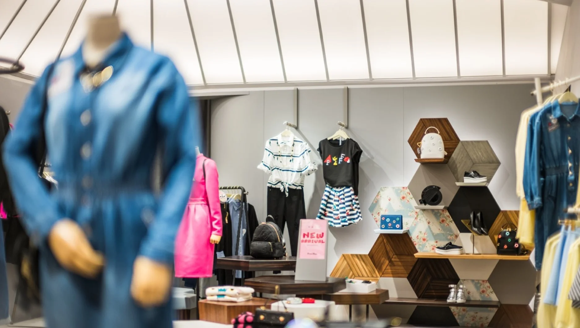 5 PLUS 2015 16 9 NEW cs3-07.jpg