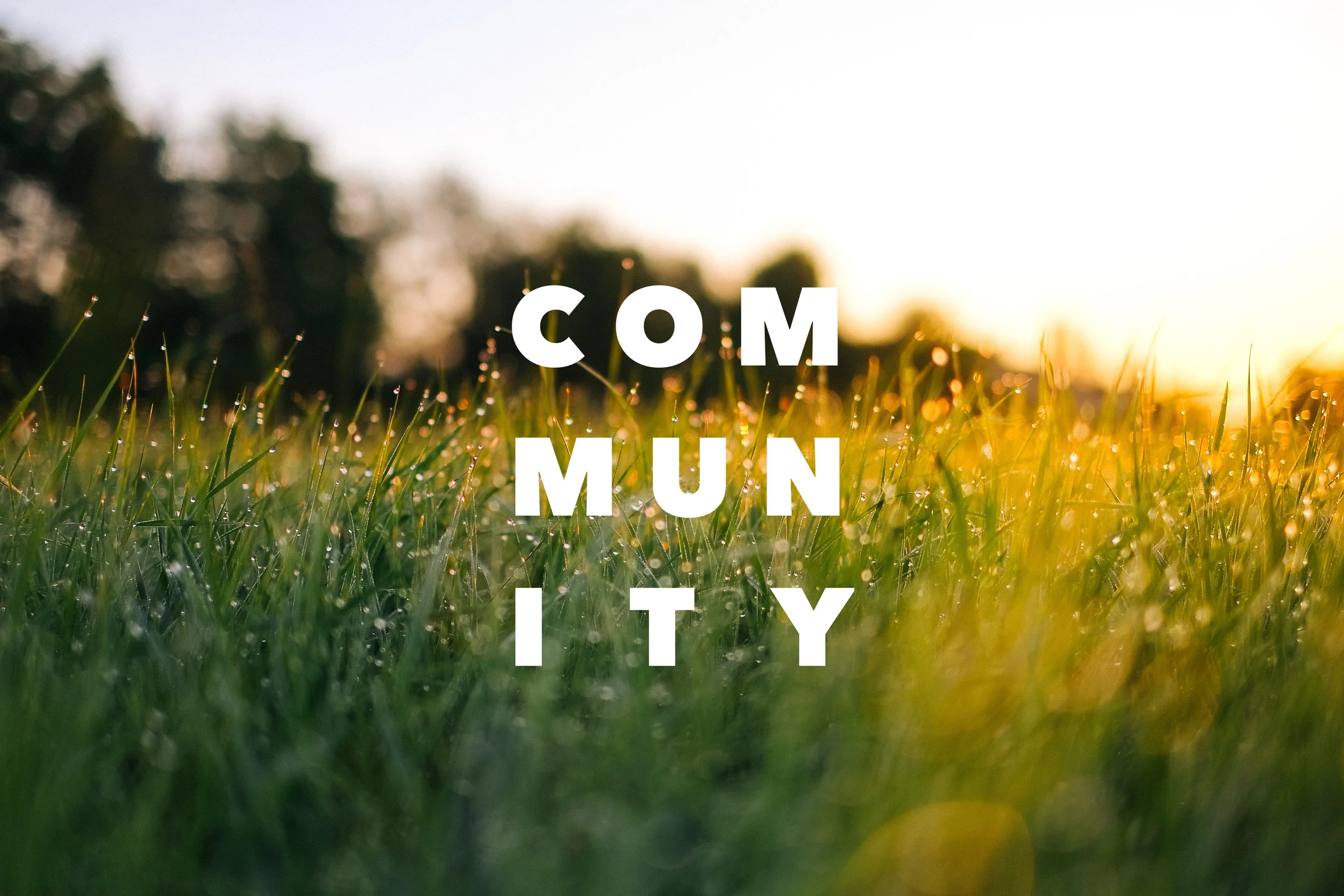 community.jpeg