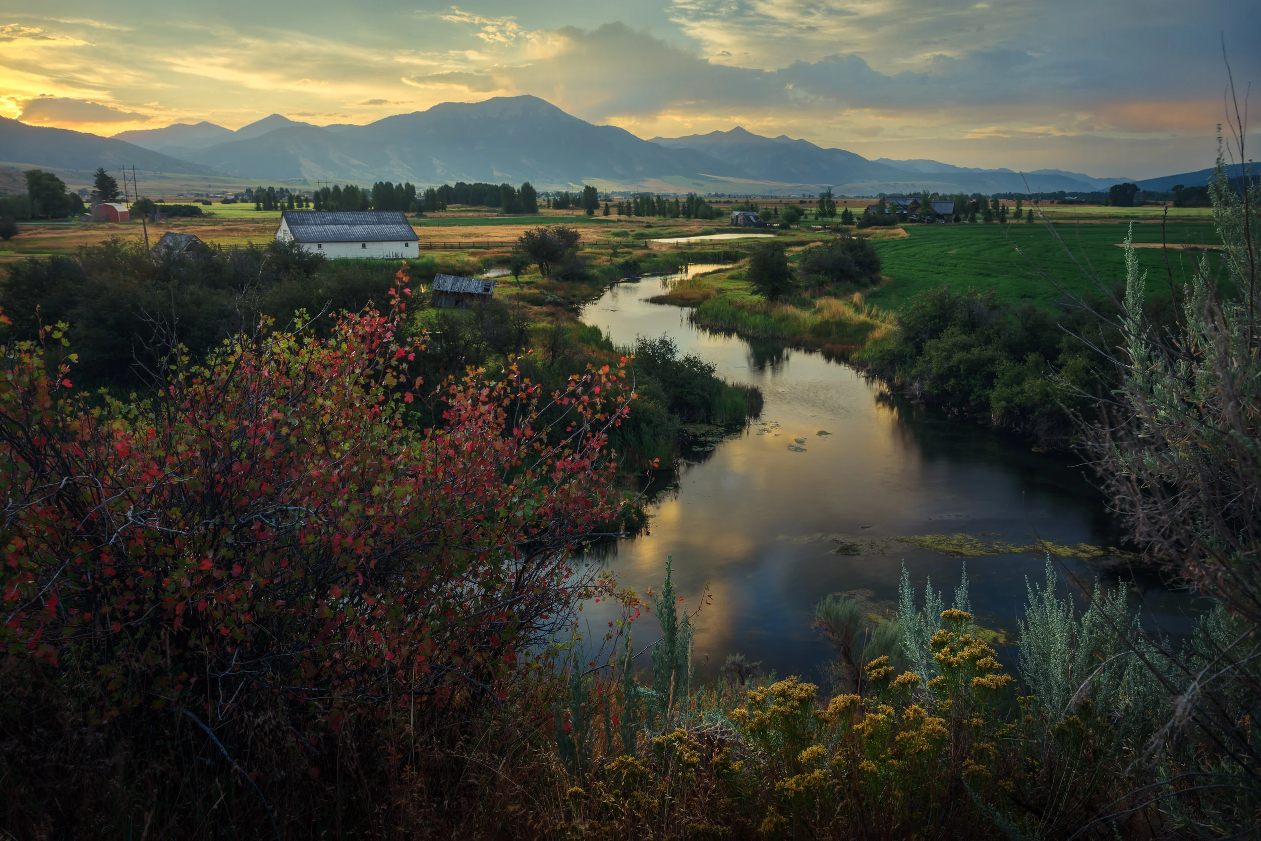 Idaho Idyll
