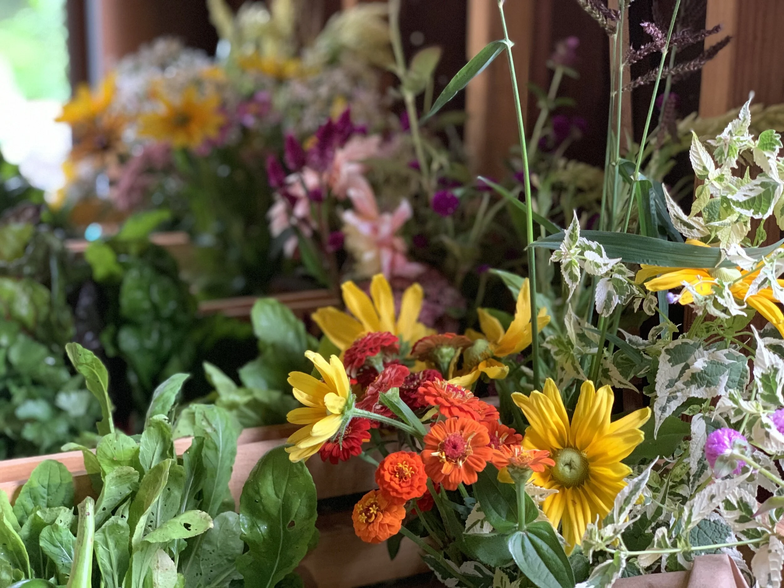 740CAADB-6A62-4A5D-9E3E-235C2B1E48D0