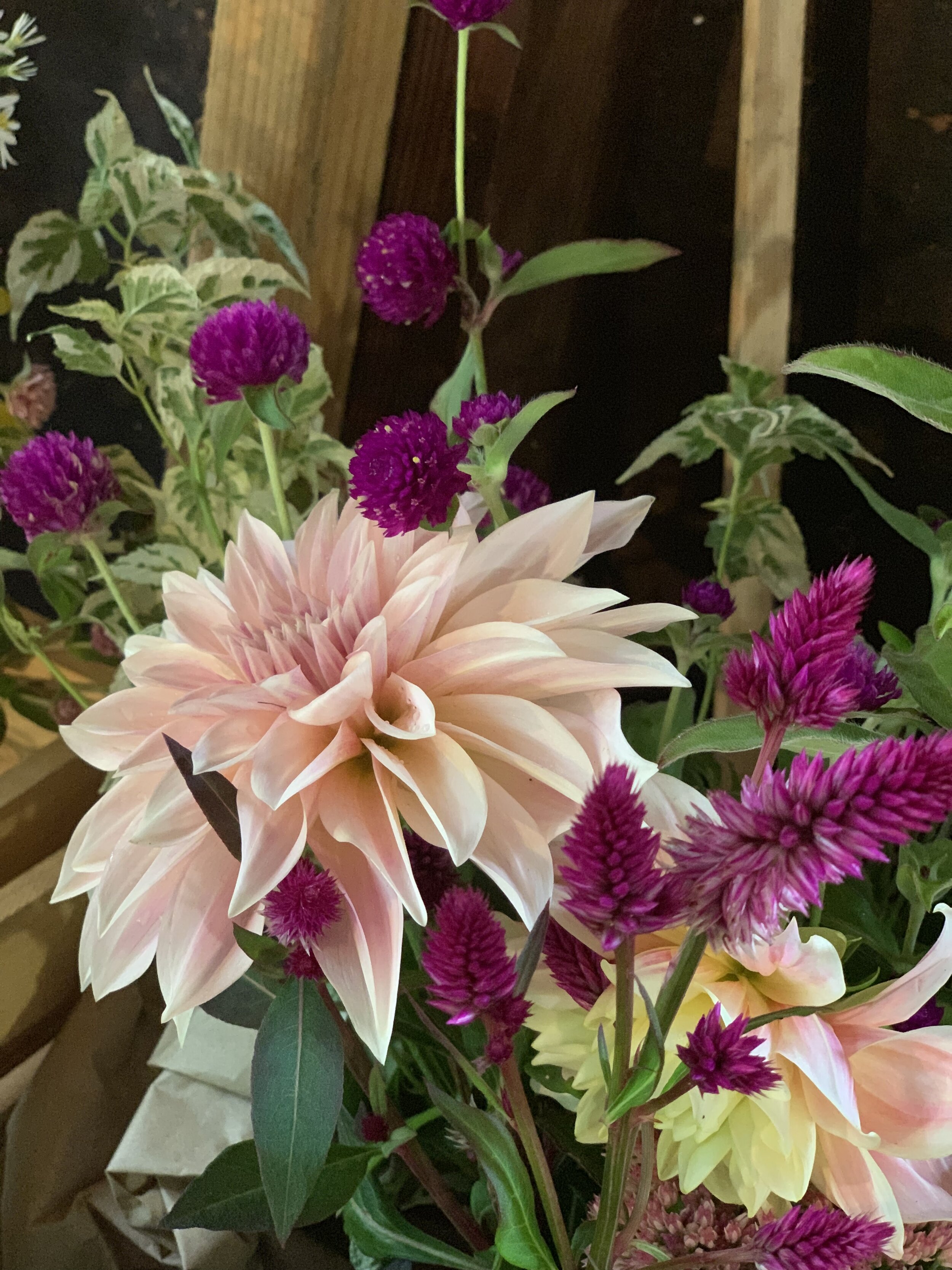 45BE157D-F133-49A2-8F7B-9EB951EE83EE