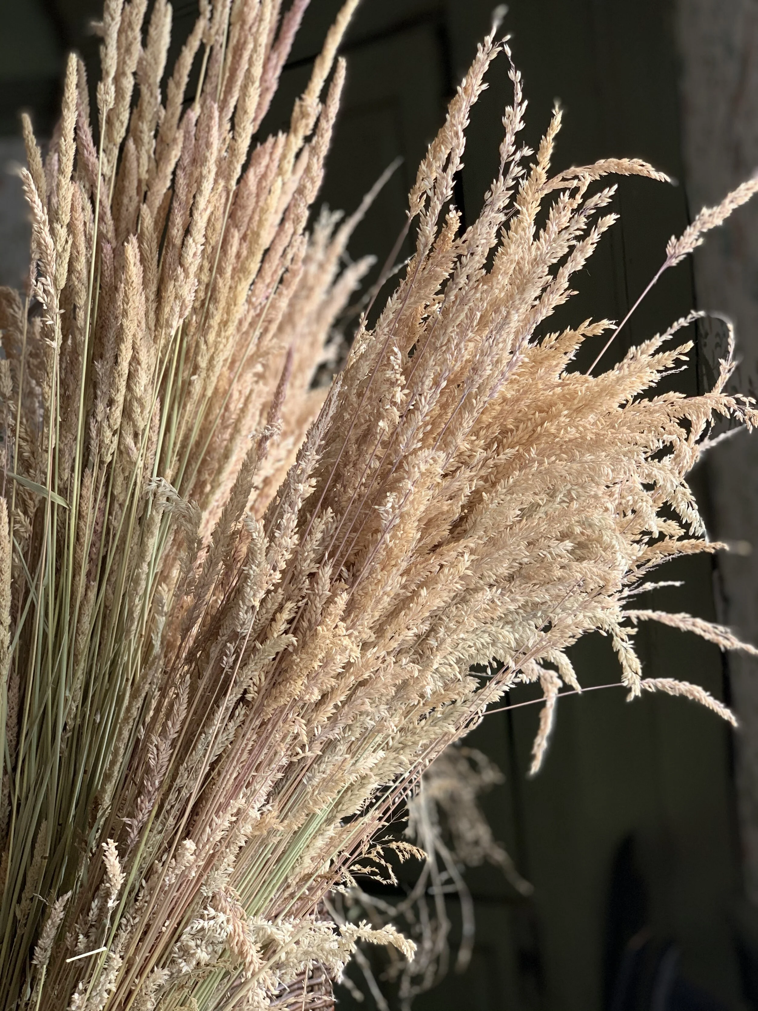 E0AA515B-9415-43B4-A781-7DD250FFED3E