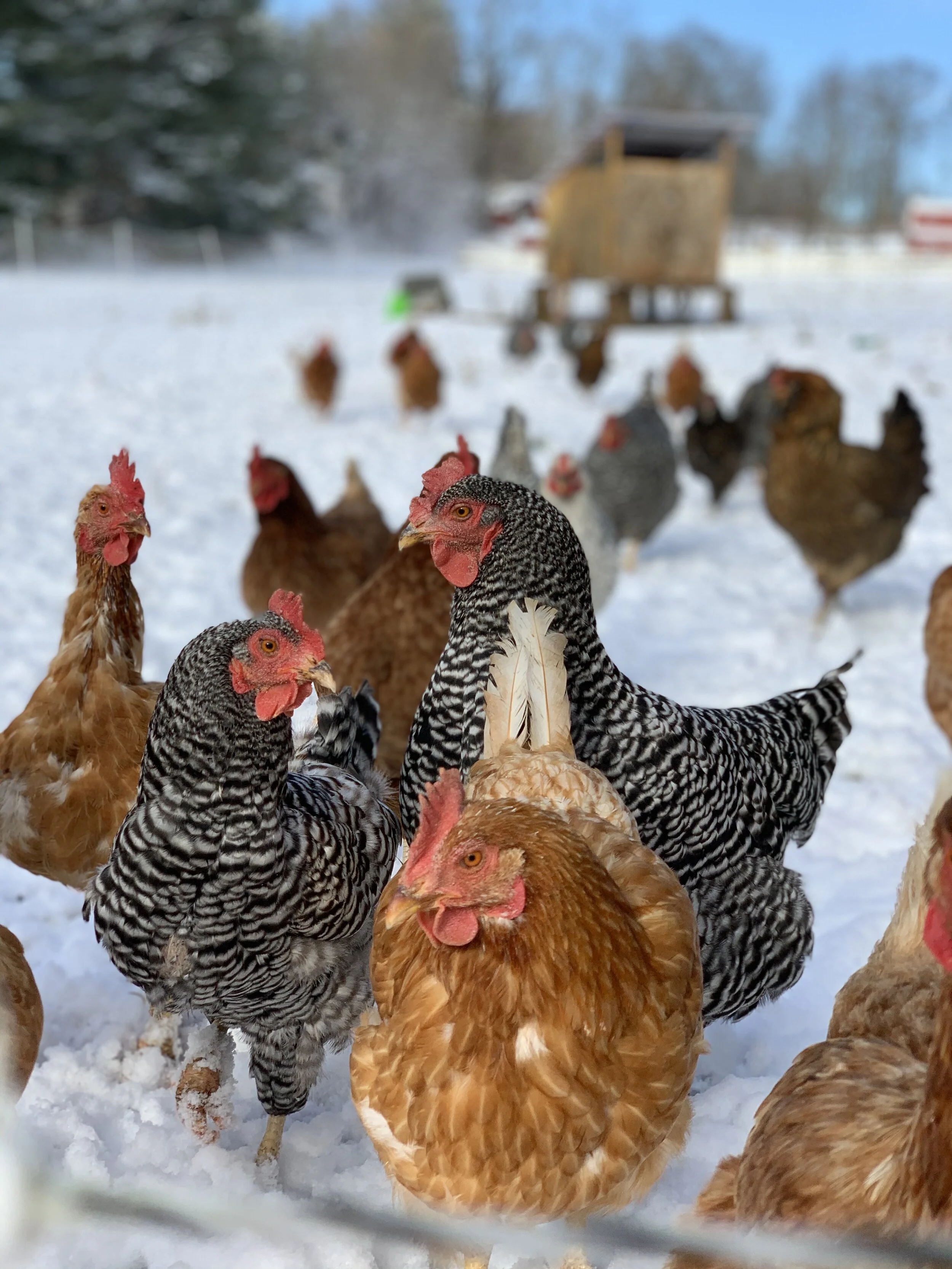 58DDBF91-0979-441C-9E20-0FFB6A8168E0