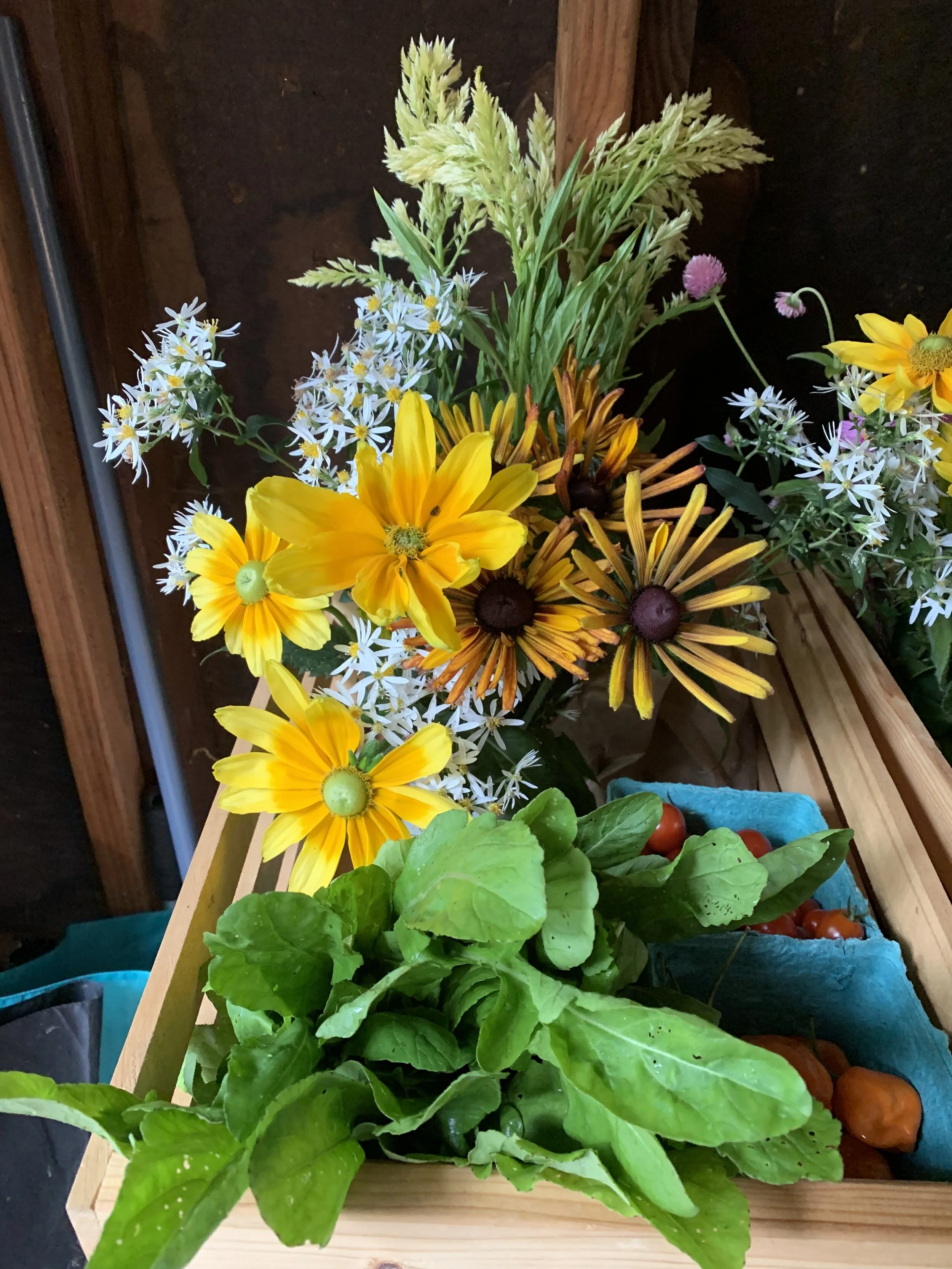 2B89BA2C-AF91-4BA4-8EA0-EB3E49CDFB35