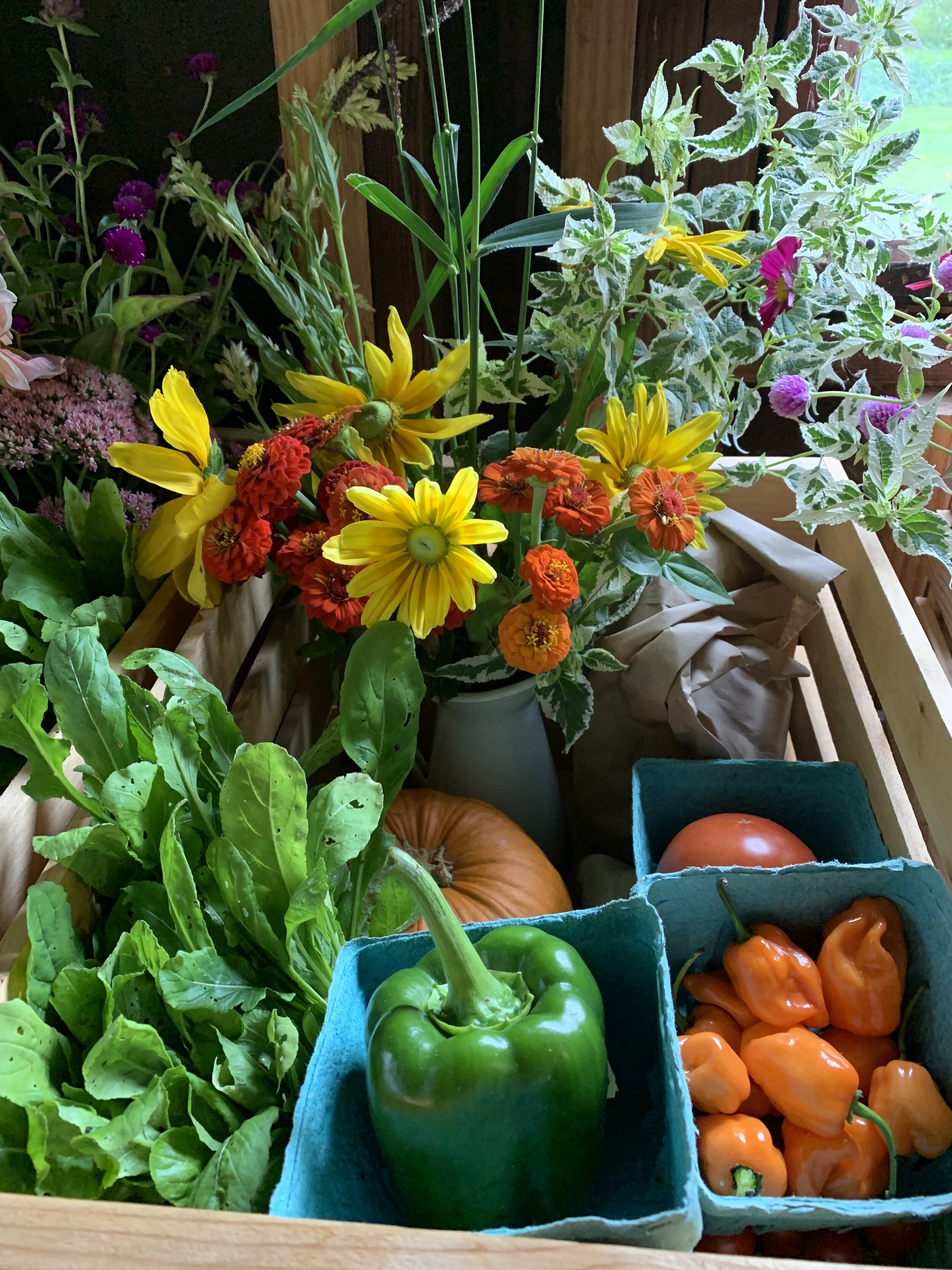 78C2B622-E45B-4171-925F-F78F930E6254