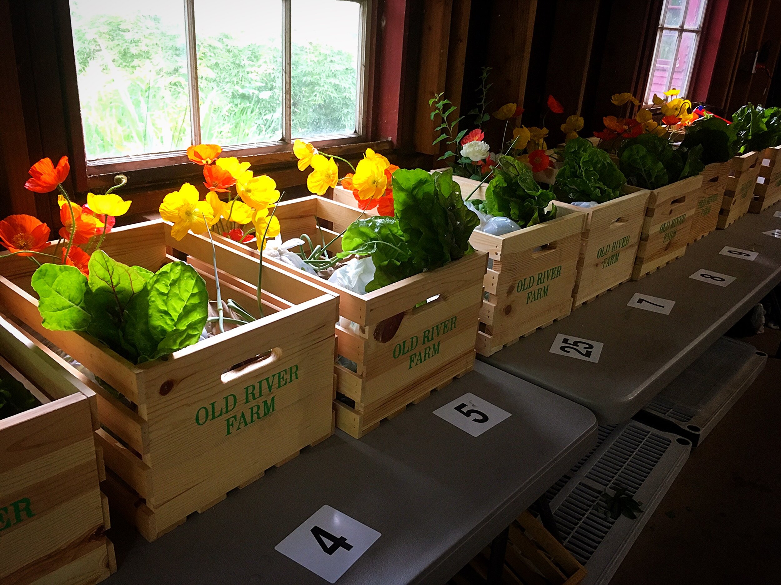 BCCA3517-0123-47F7-A88B-67DF607A66CD