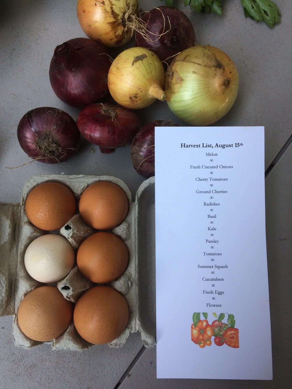 F054B14F-4E8A-4FFC-85BE-491F0914359D