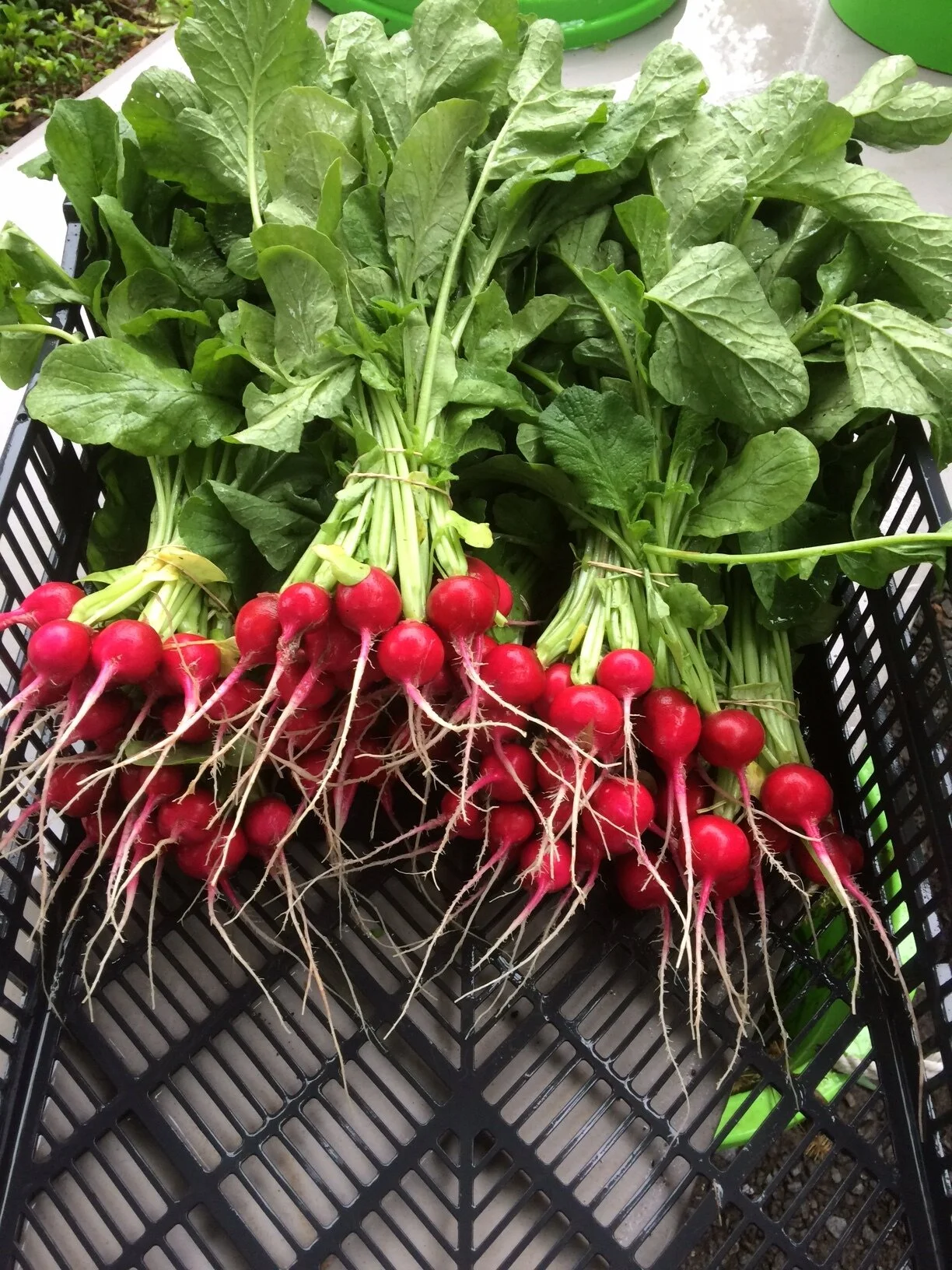 FC37518E-1627-4857-8D52-D41B1F86C739