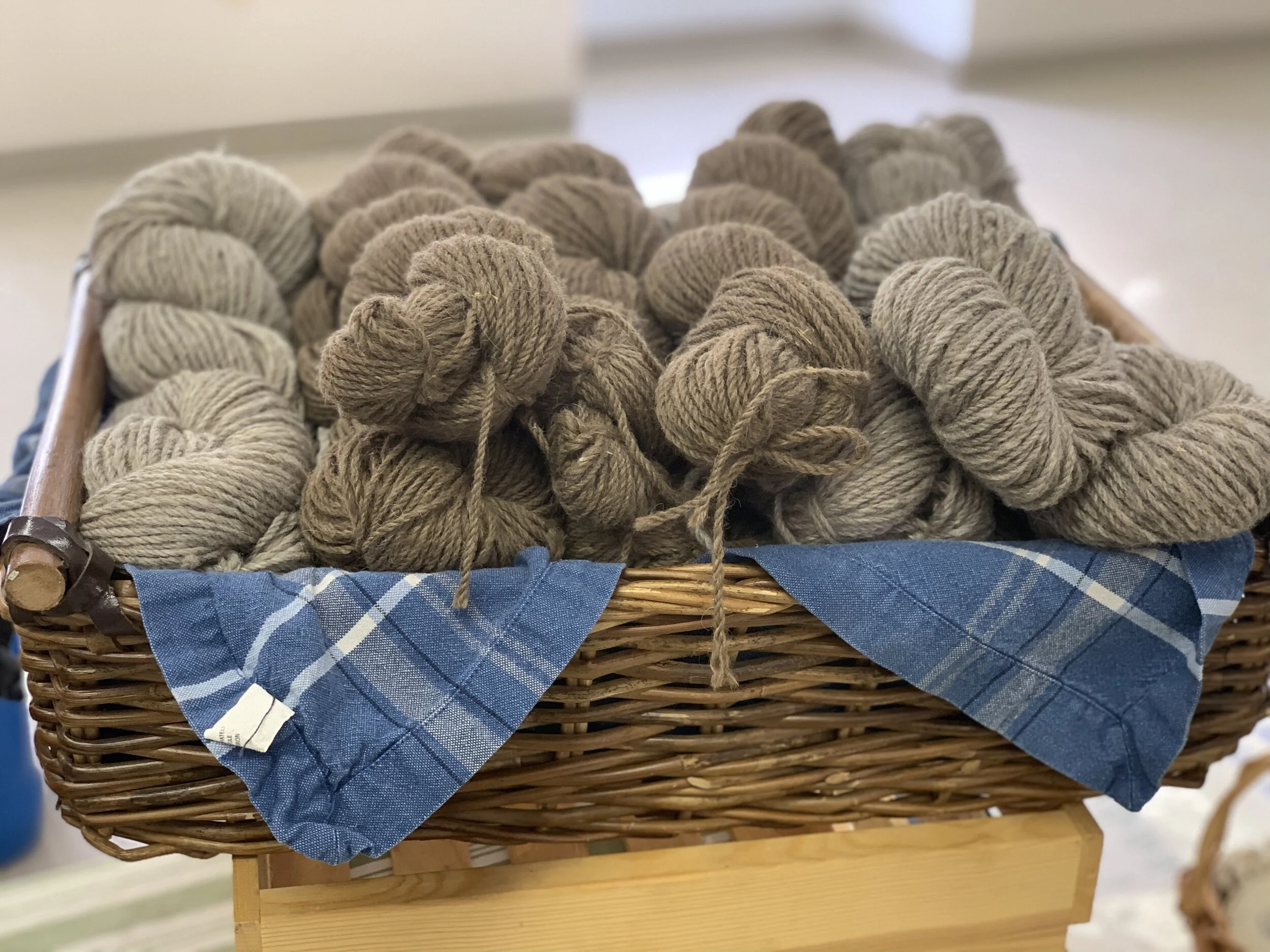 D06A74CE-EC1D-494D-A74A-AC27B2E49C31