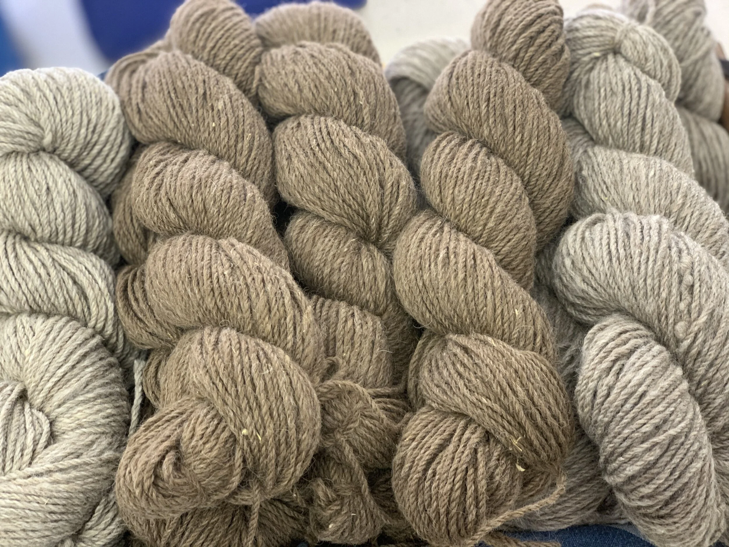 FEEBDD3E-5520-4A32-A609-1B481C2A9F29