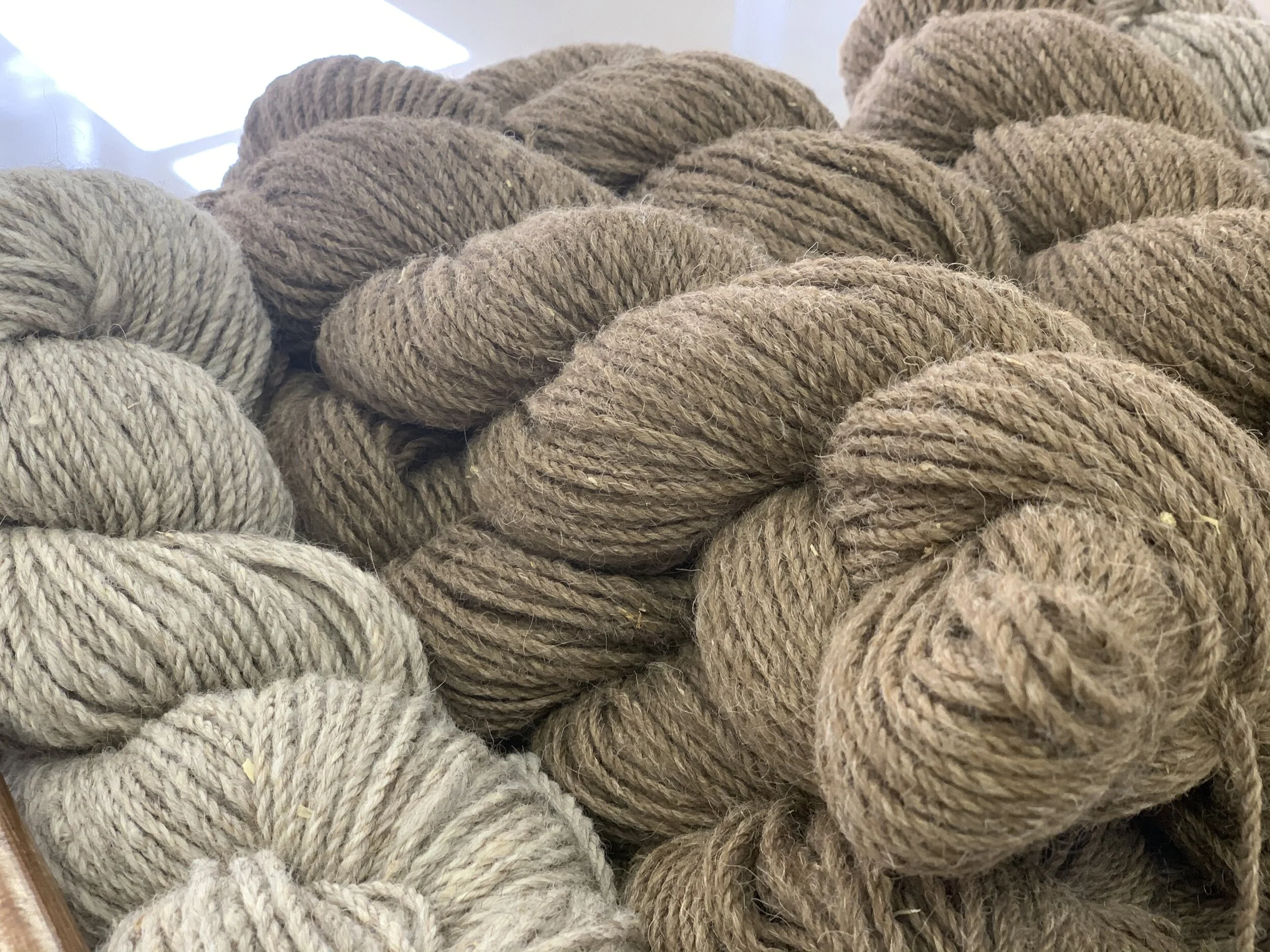 796CF993-054C-4153-AD57-7EC184ED6FF0