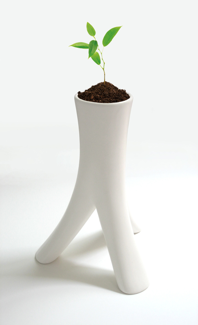Stump Vase.jpg