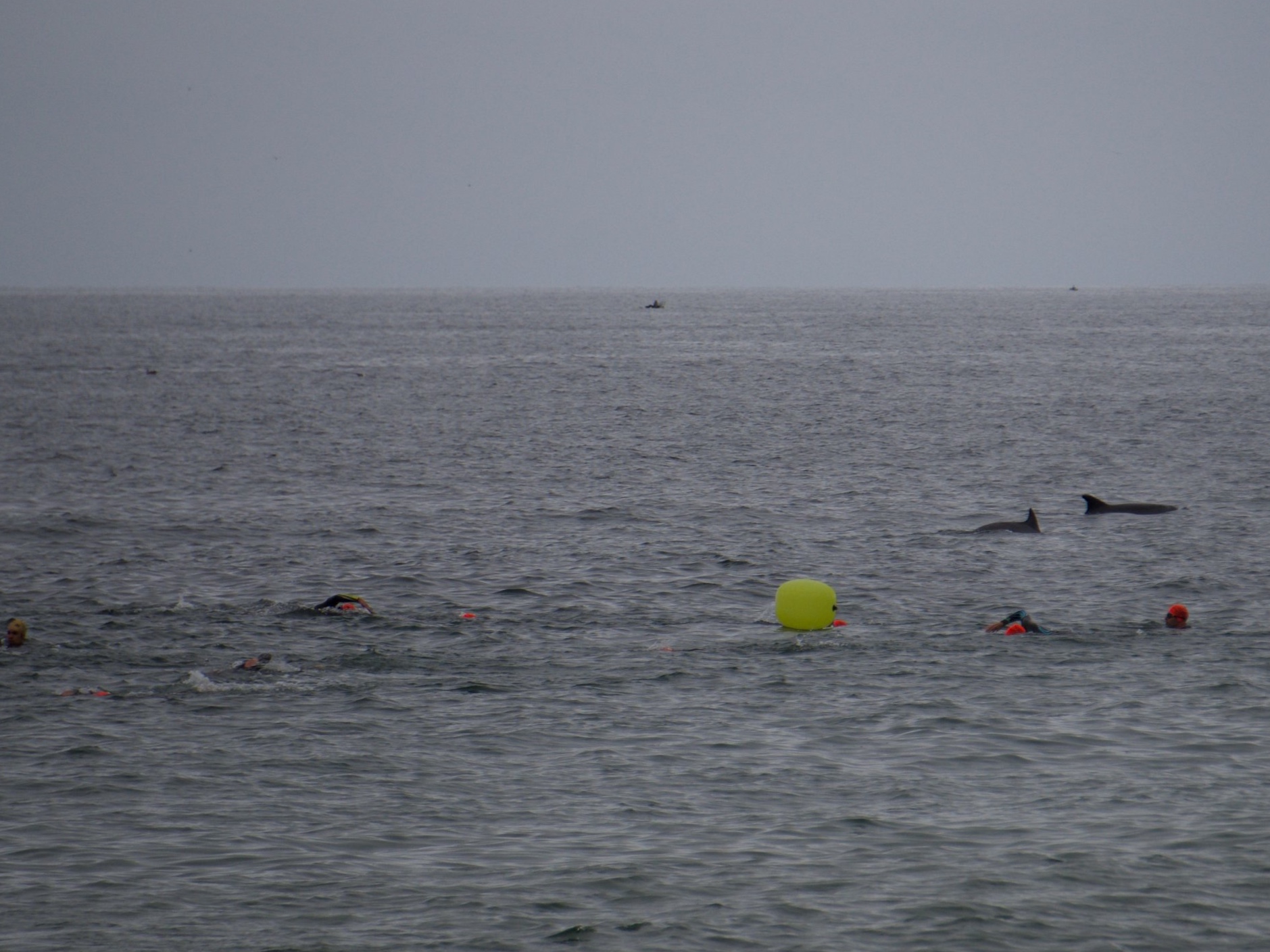 DSC08378.jpg