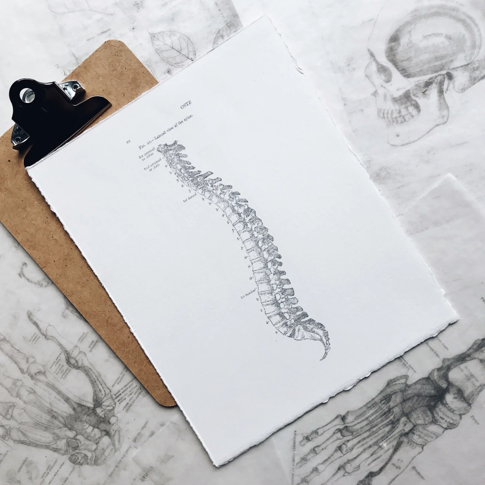 The Problem With Pilates and Yoga